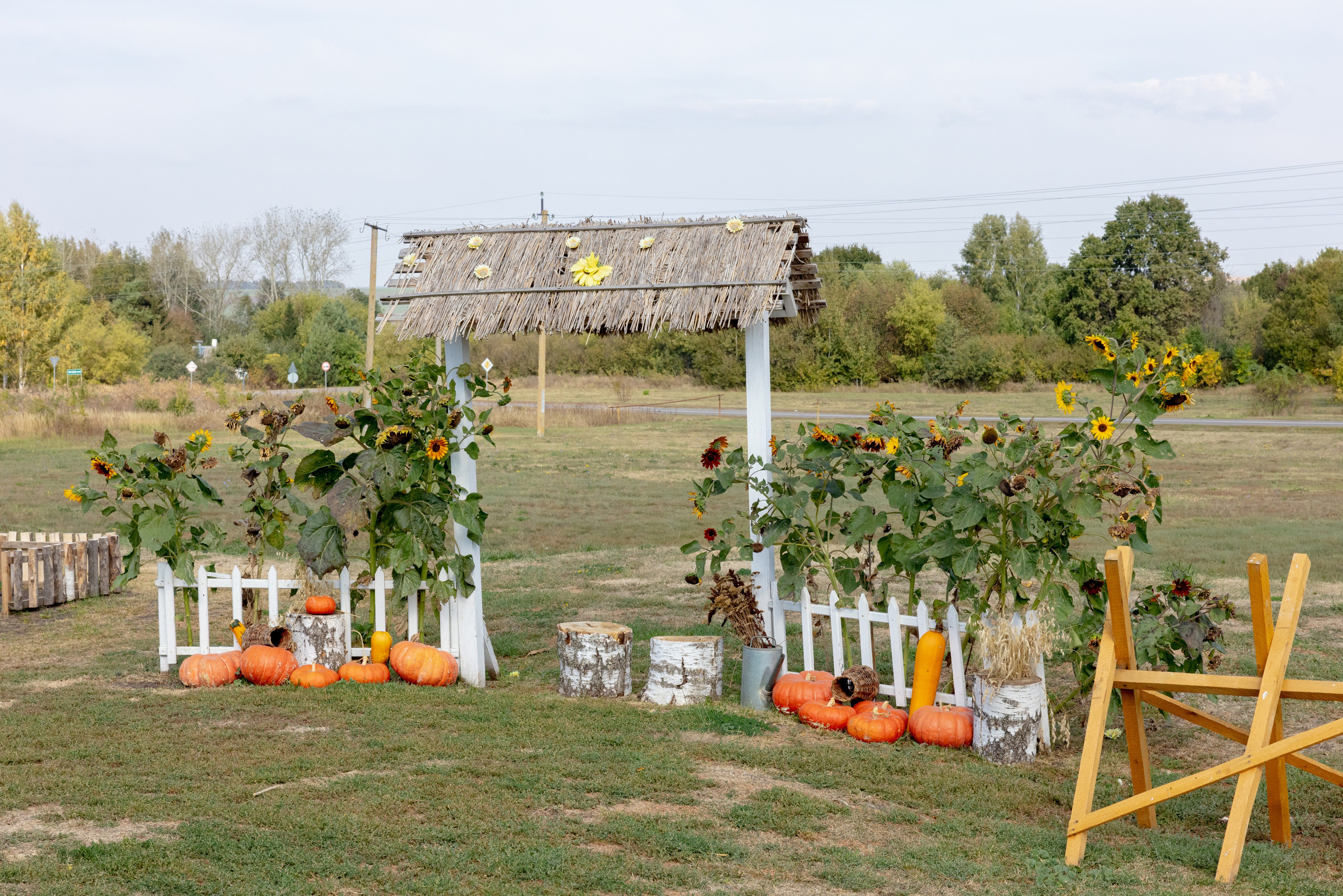 Поездка на поле Кулеково. Фотограф в Туле Крупский АнДРей. Фотостудия «КАДР71» в Туле