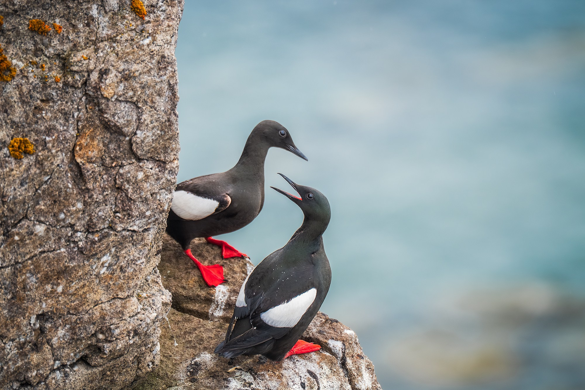 Арктика. Аэросъемка в Архангельске, Александр Ермолин