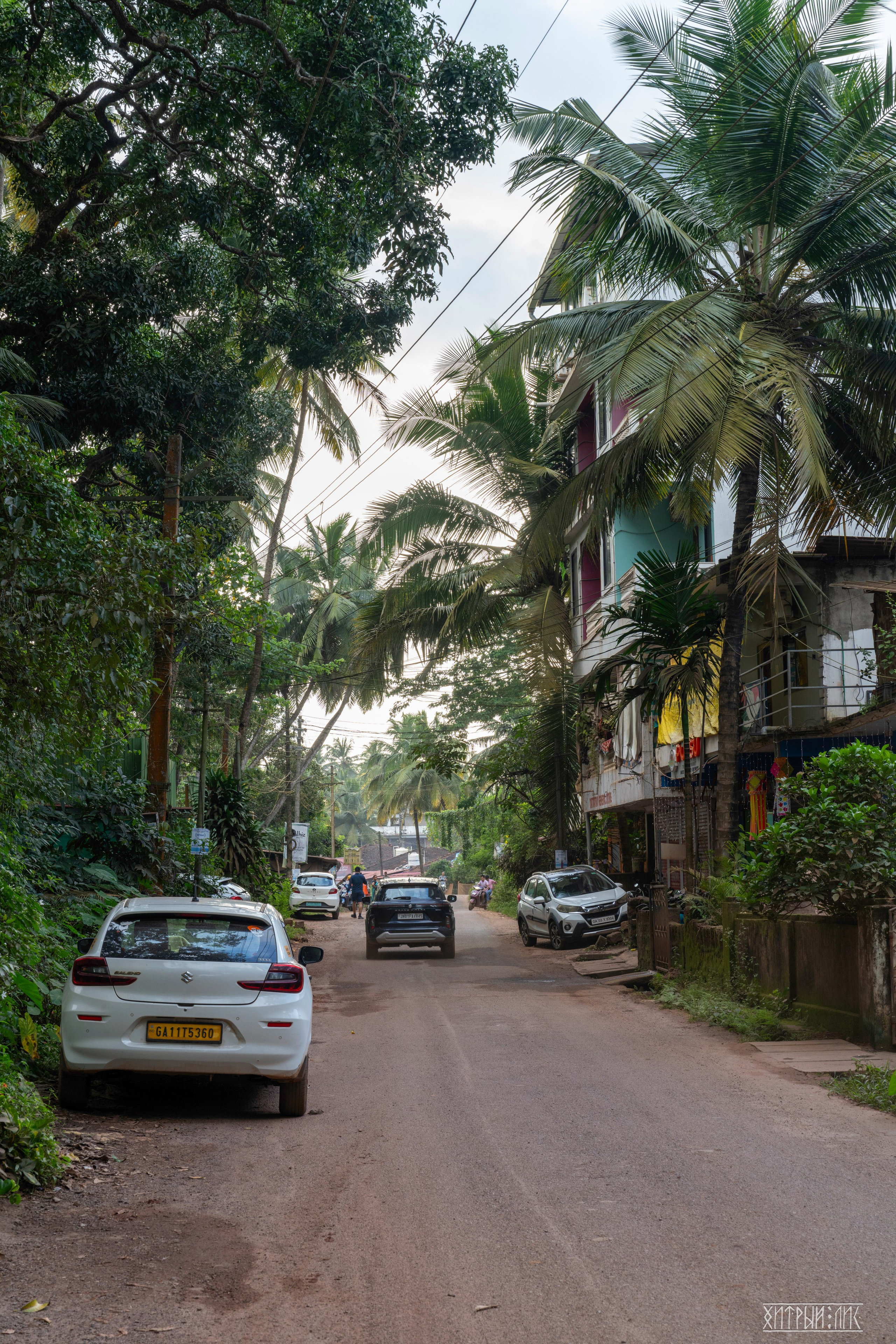 Гоа-Мумбаи. Фотограф-путешественник Самойлов Максим «Sly Fox»