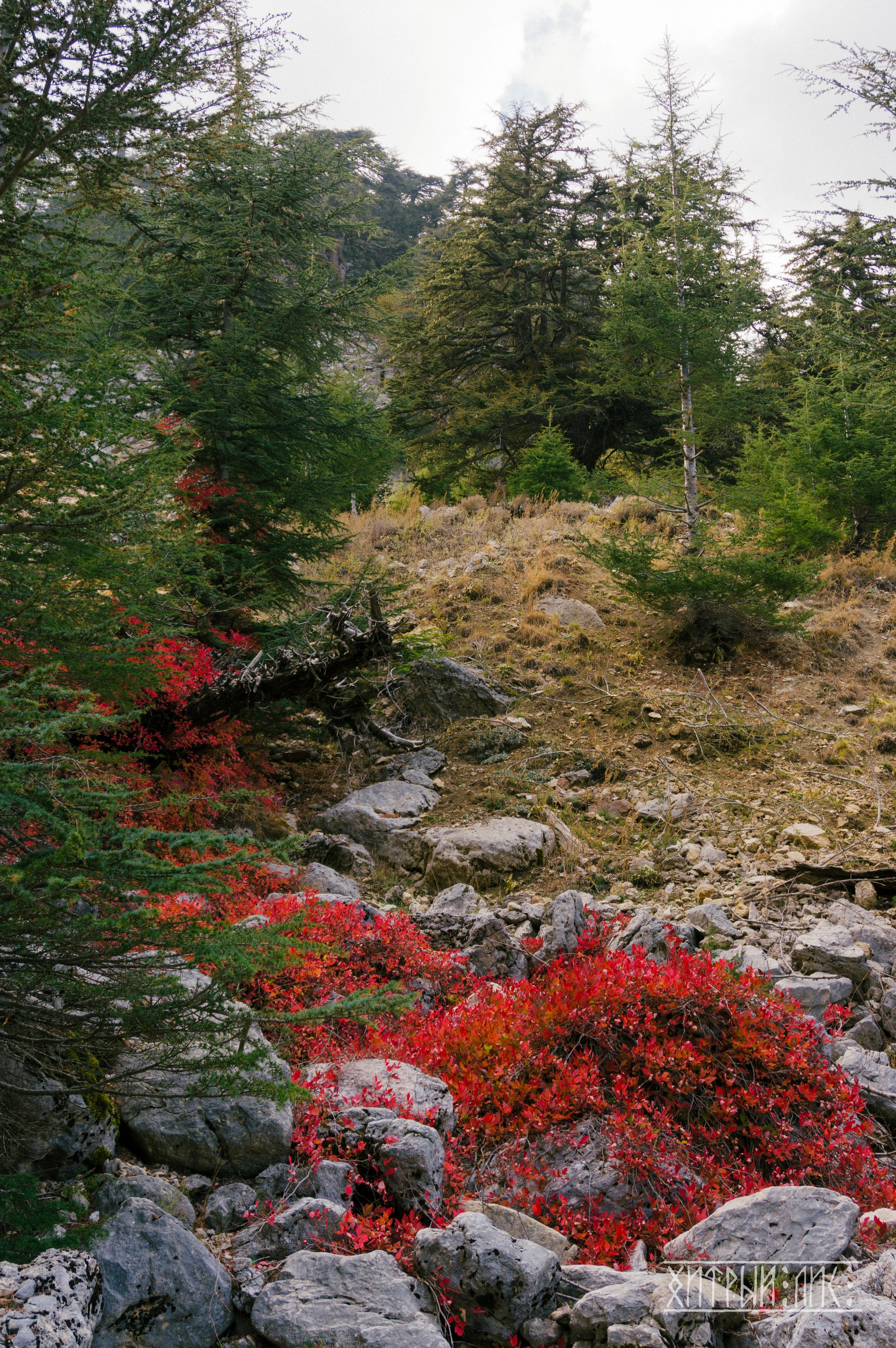 Турция. Ликийский путь. Фотограф-путешественник Самойлов Максим «Sly Fox»