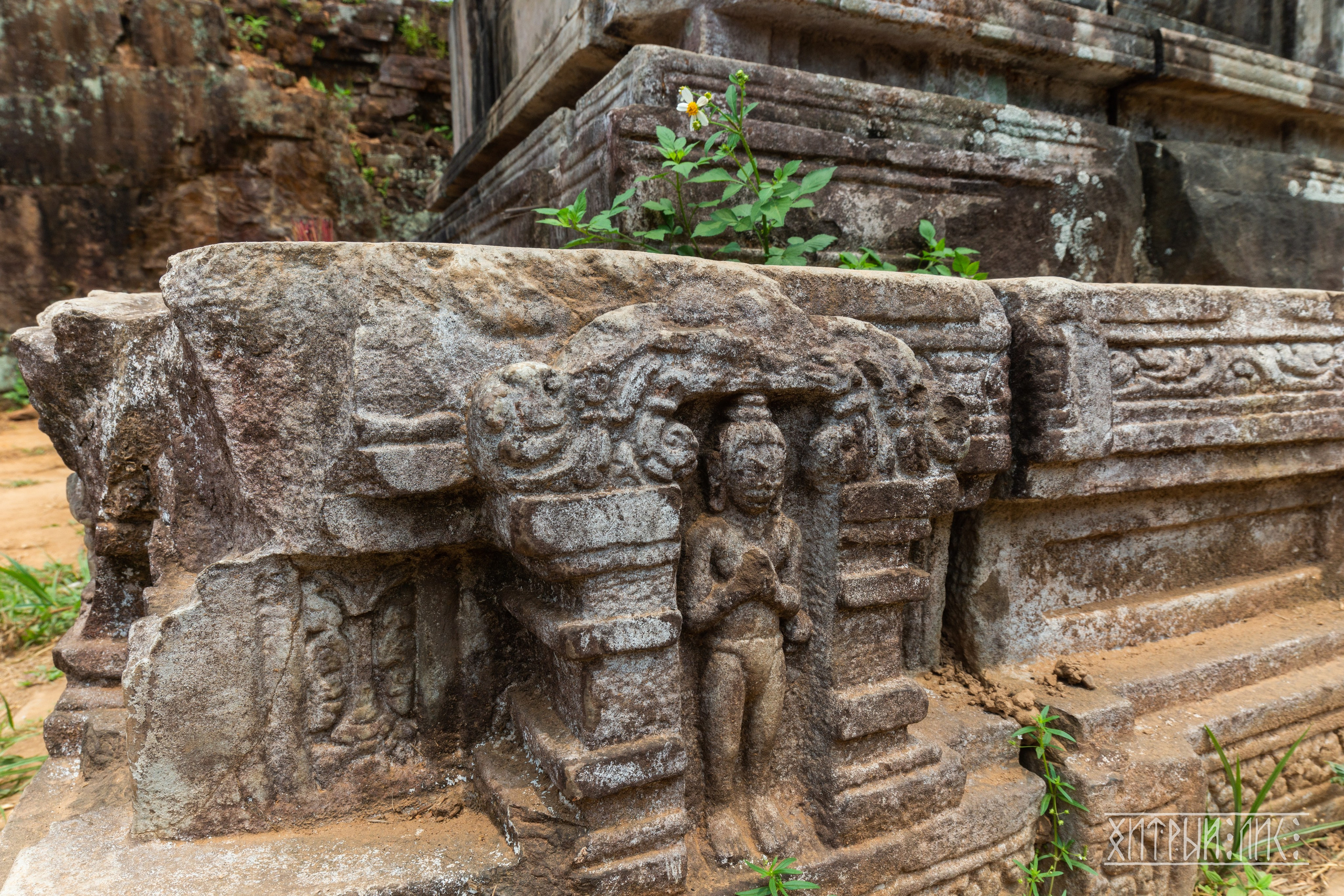 Вьетнам. Фотограф-путешественник Самойлов Максим «Sly Fox»