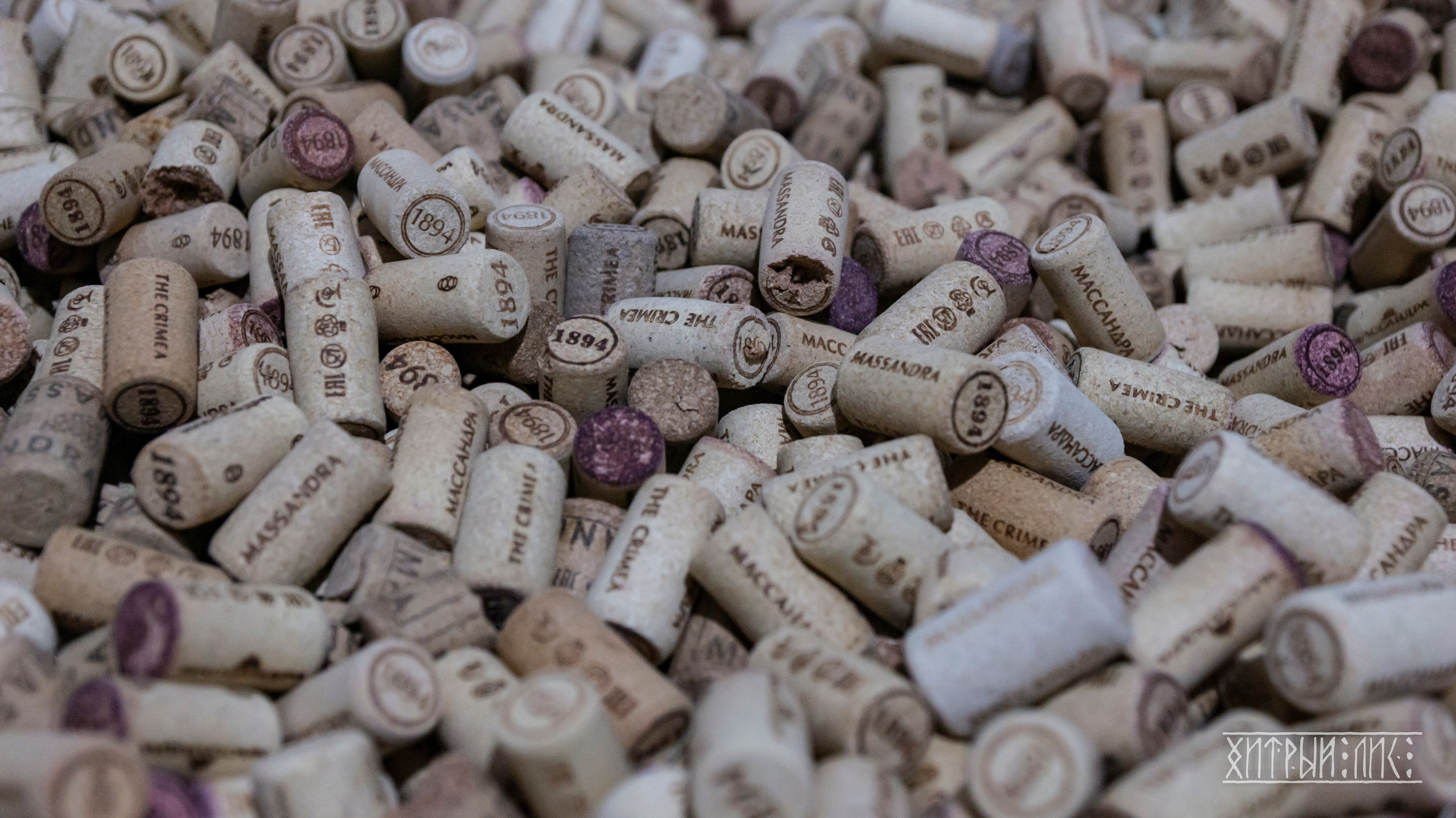 Крым. Фотограф-путешественник Самойлов Максим «Sly Fox»