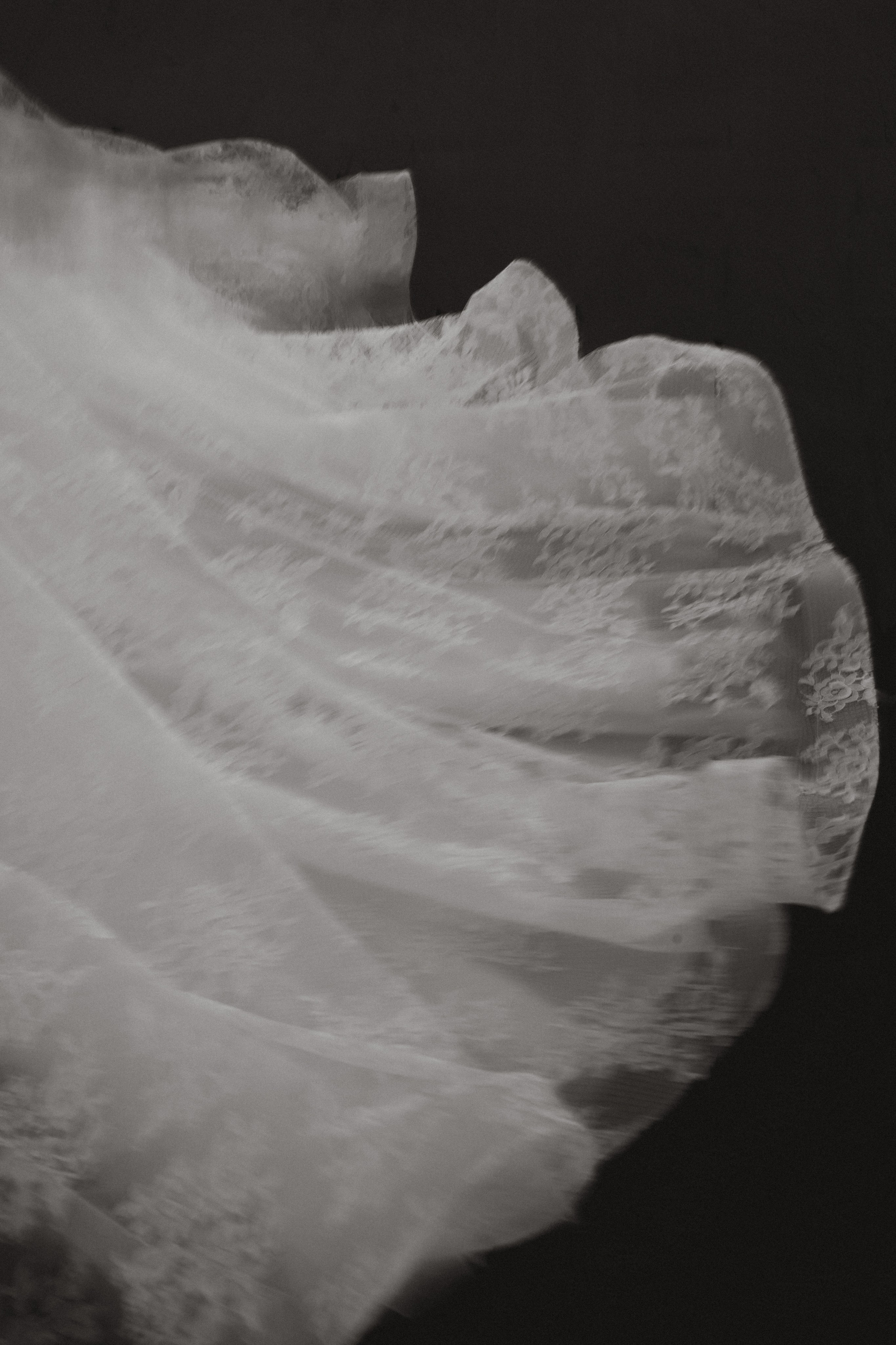 The Wedding Day. Свадьбы, портреты, семьи, репортаж — Юг России