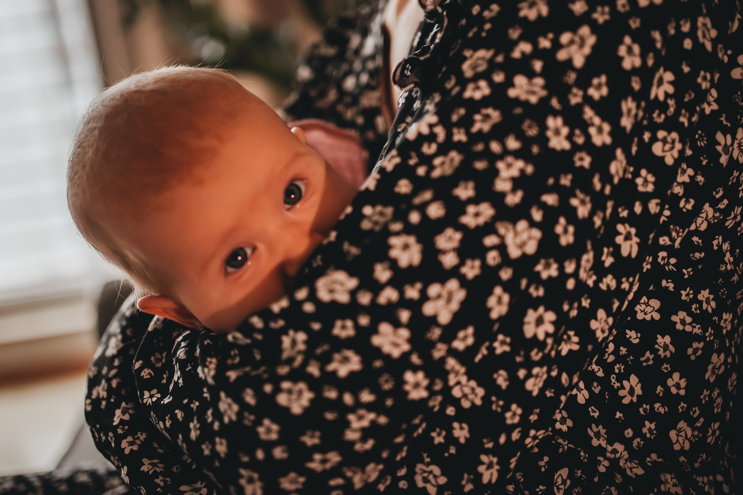 Настя и Софа. Главная