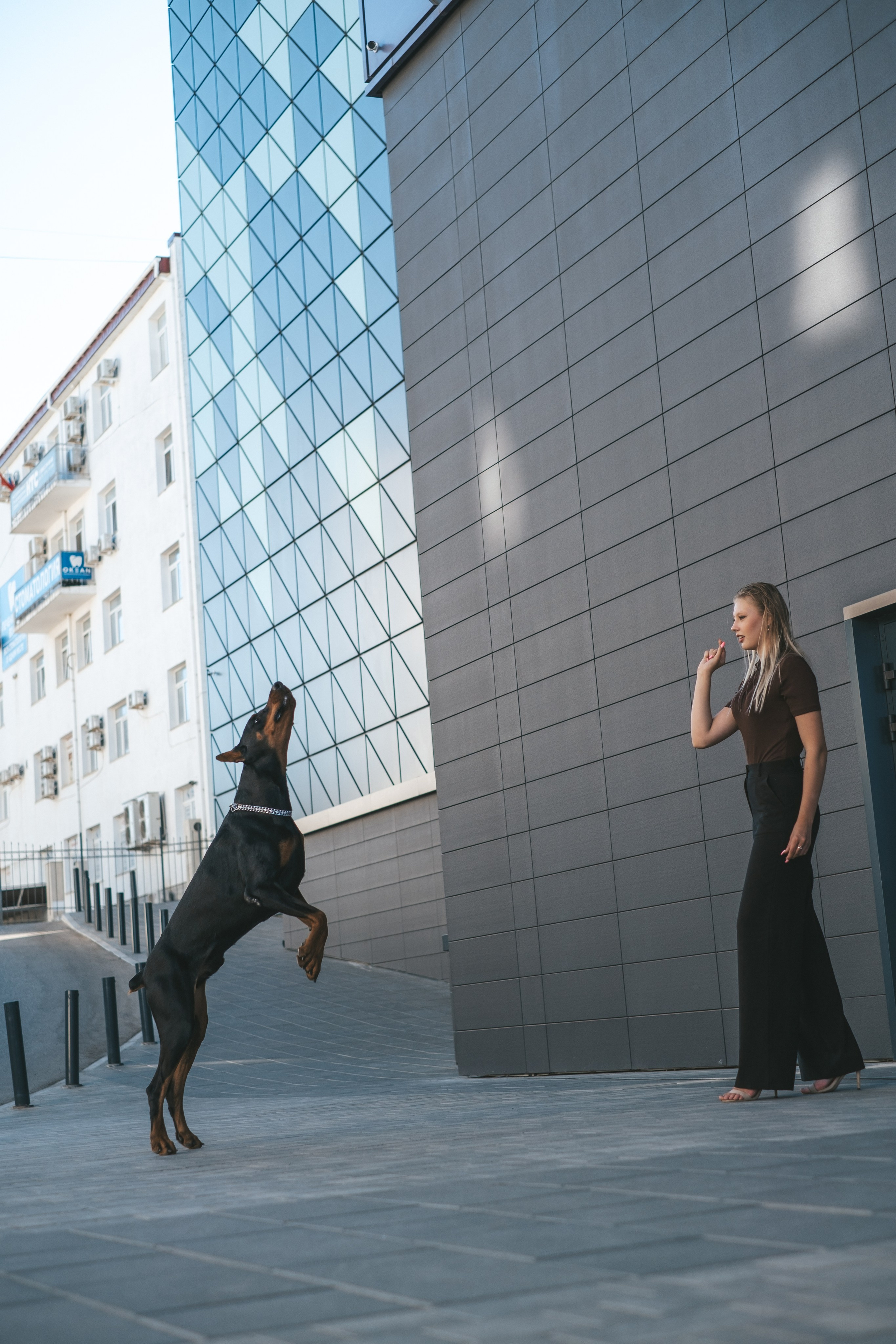 Фотосессия с Доберманом. Профессиональная фотосъемка в Крыму. Натуральные эмоции и живые кадры. Забронируйте дату прямо сейчас!