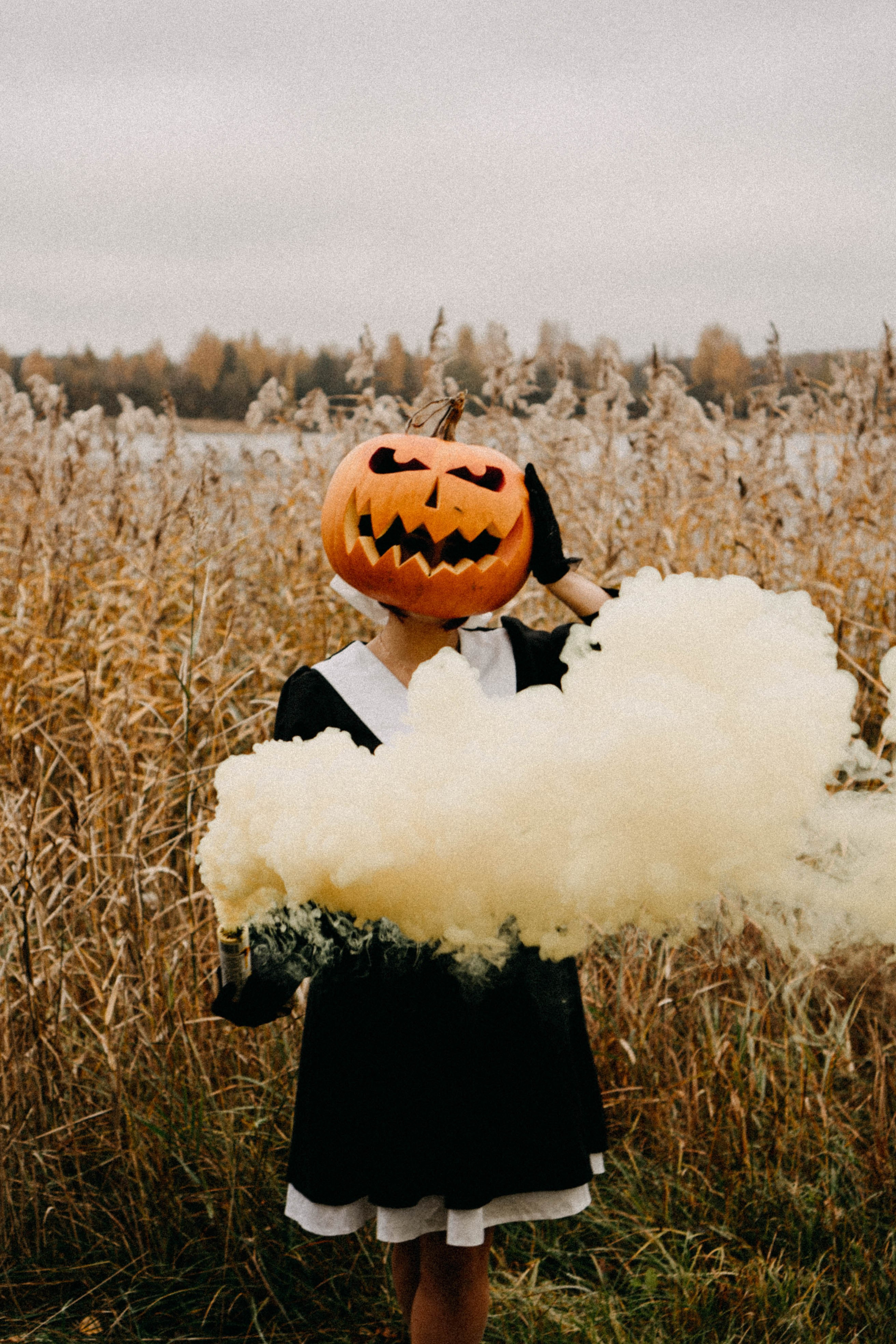 Осеняя. Профессиональный фотограф, Санкт-Петербург — Виктория Богомолова