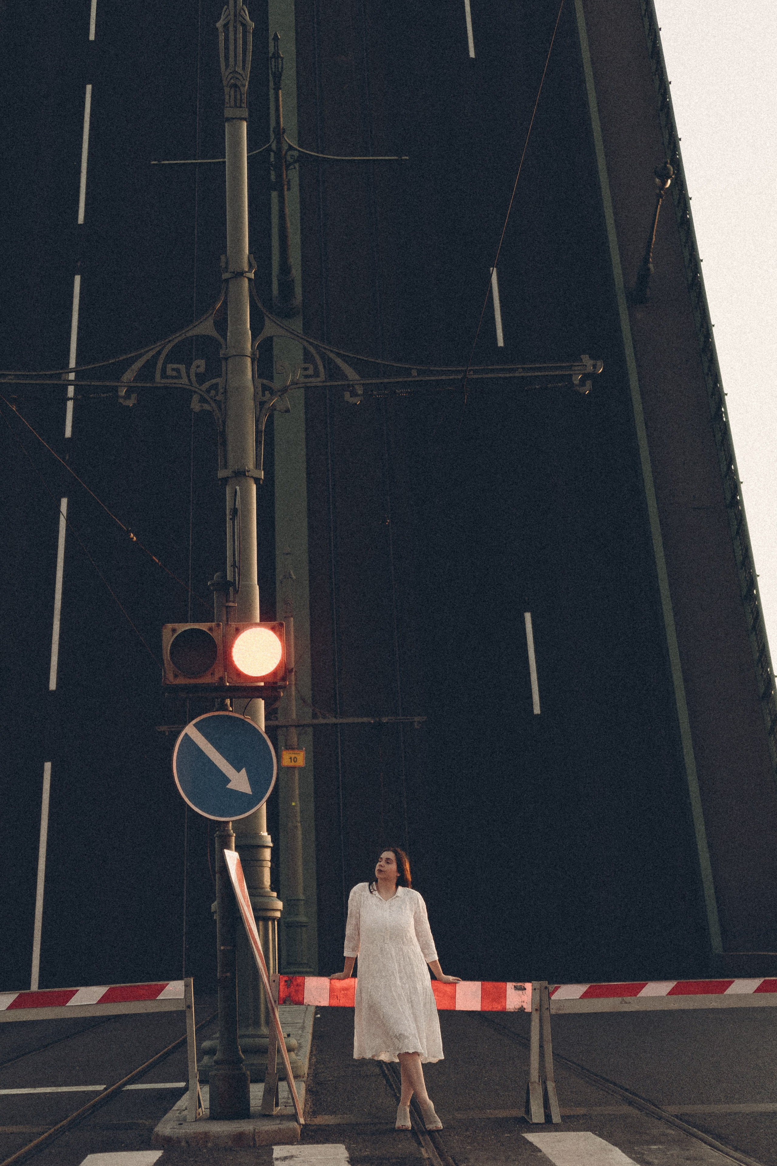 РАССВЕТ С РАЗВОДНЫМИ МОСТАМИ. Профессиональный фотограф, Санкт-Петербург — Виктория Богомолова