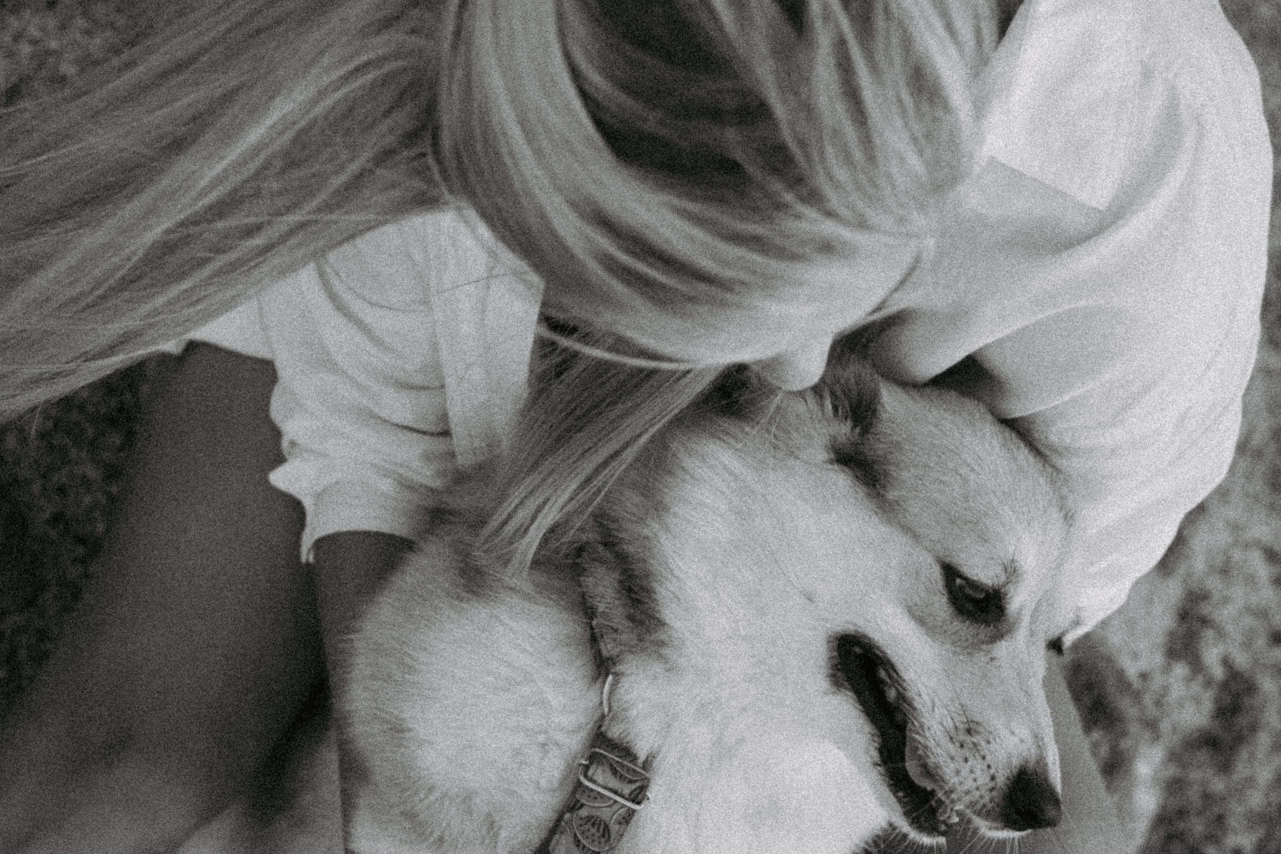 Катя и Рокси. Фотораф — анималист Мария Шистка