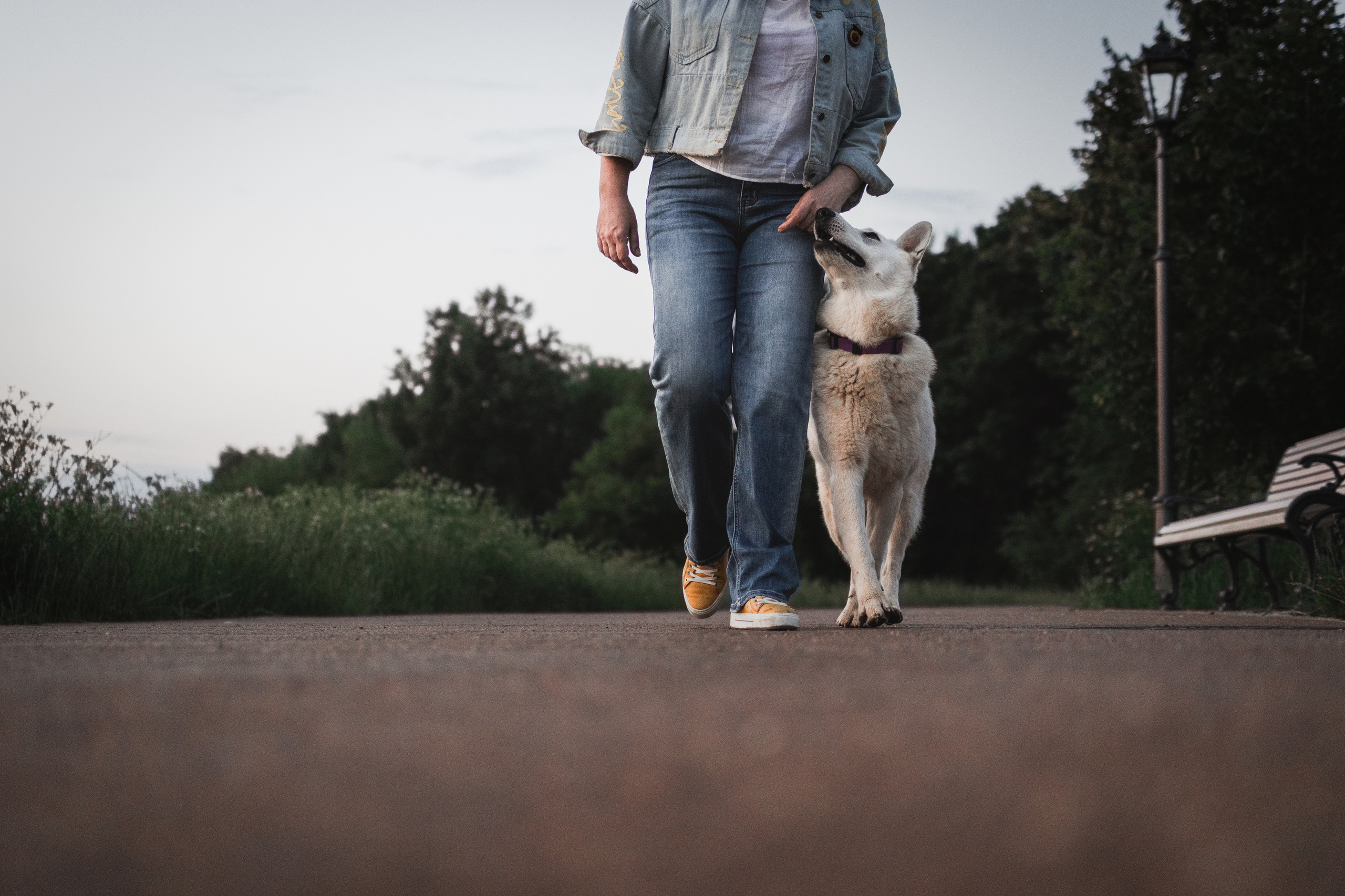 Любовь и Латте. Фотораф — анималист Мария Шистка