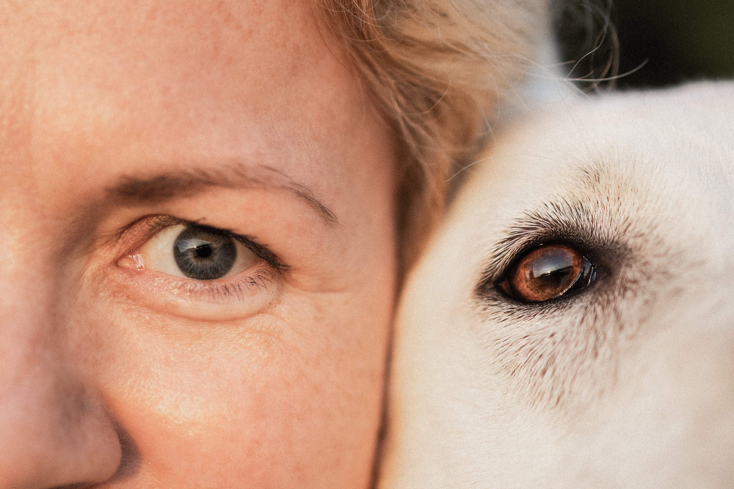 Любовь и Латте. Фотораф — анималист Мария Шистка