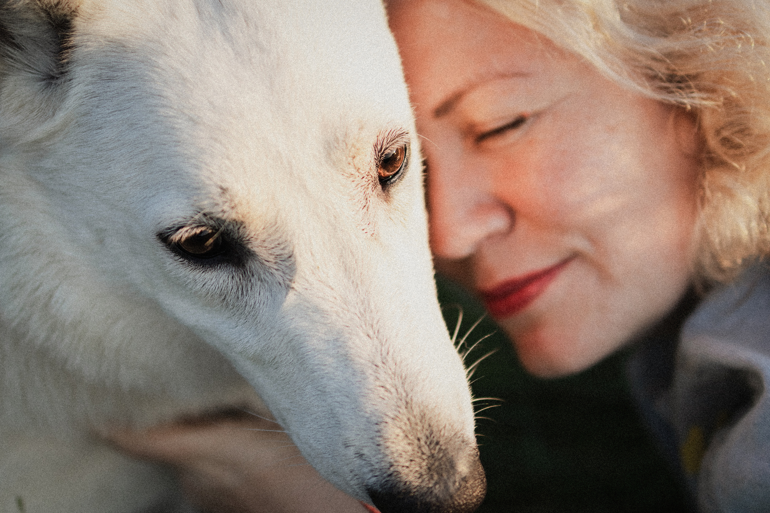 Любовь и Латте. Фотораф — анималист Мария Шистка