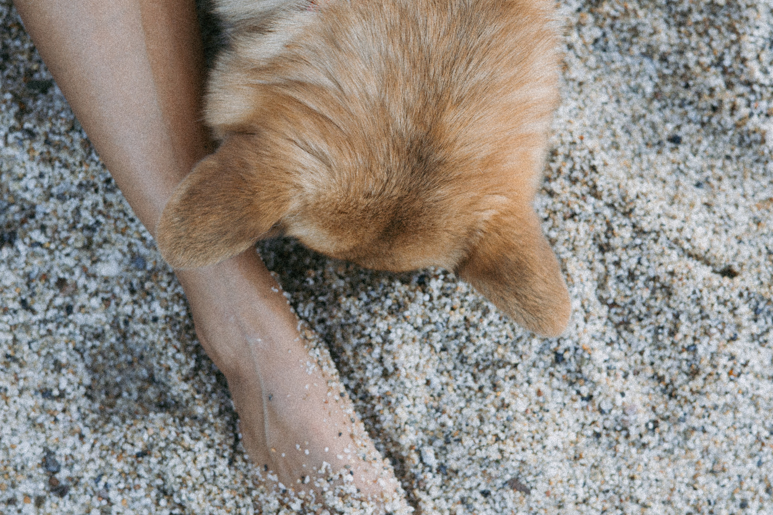 Катя и Рокси. Фотораф — анималист Мария Шистка