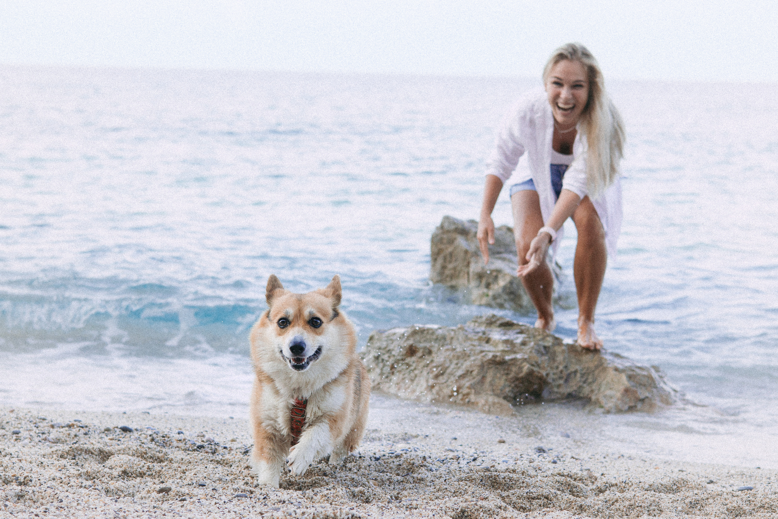 Катя и Рокси. Фотораф — анималист Мария Шистка