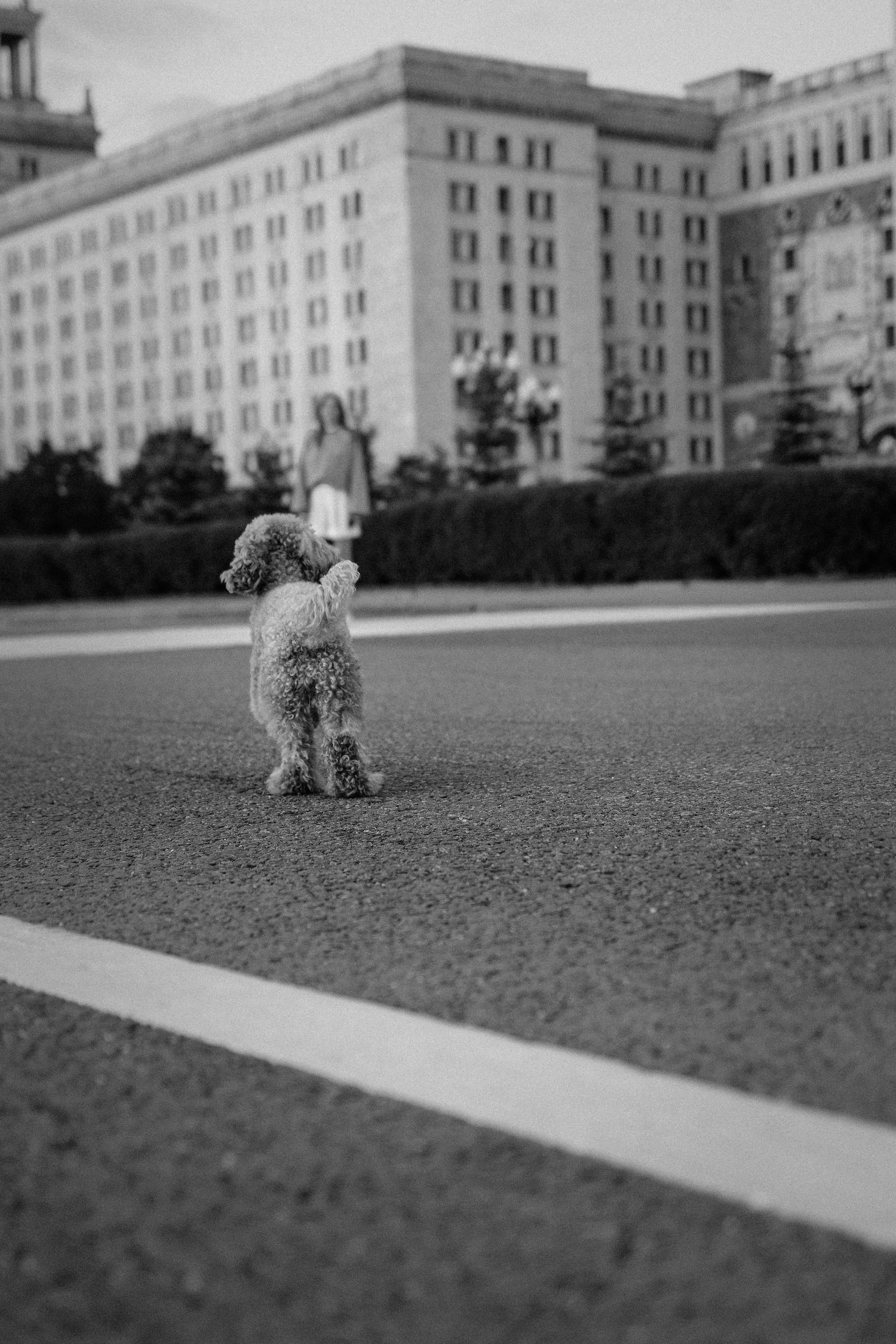 Лилия и Оди. Фотораф — анималист Мария Шистка