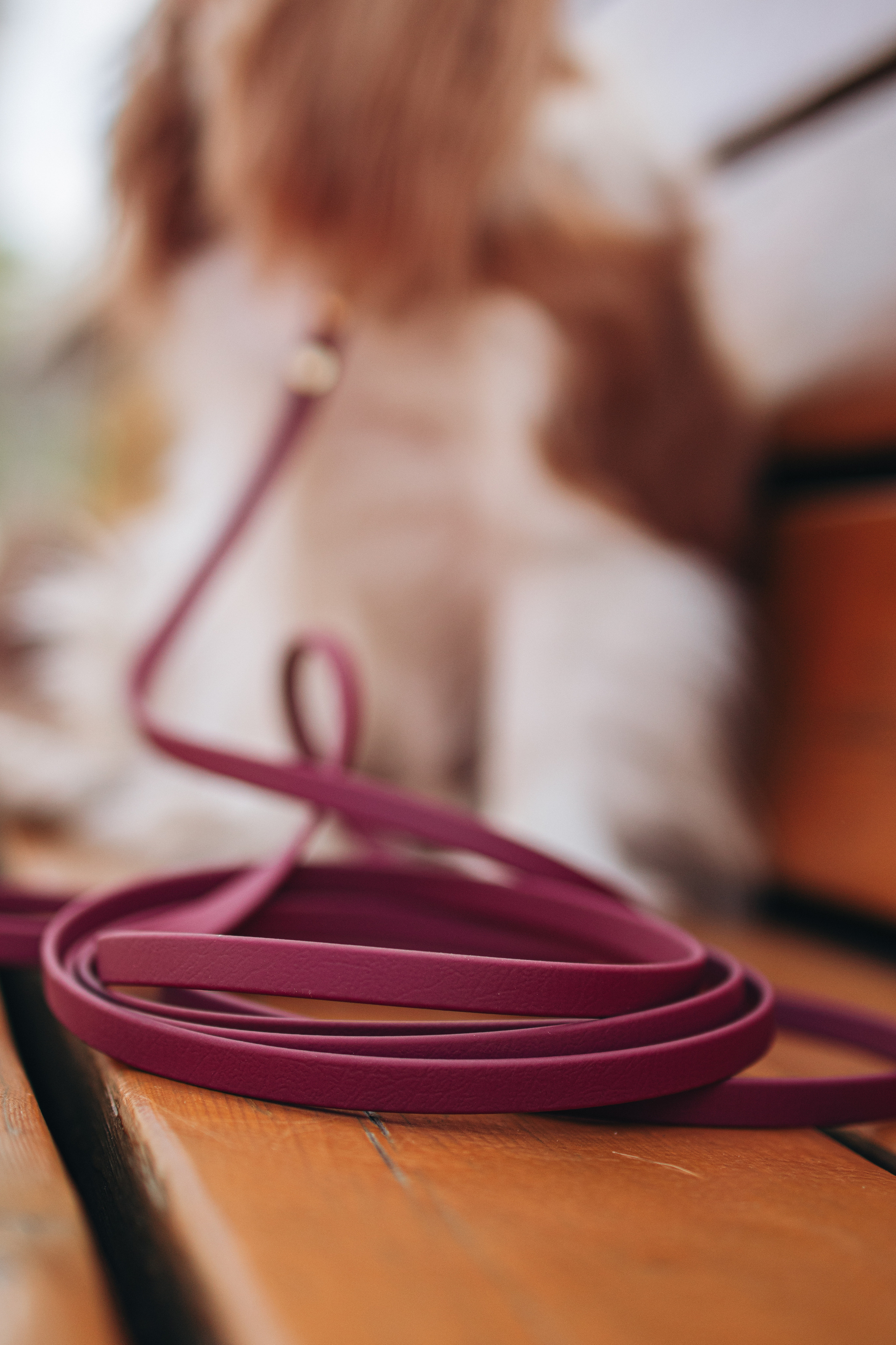 Амуниция «Бобик». Фотораф — анималист Мария Шистка