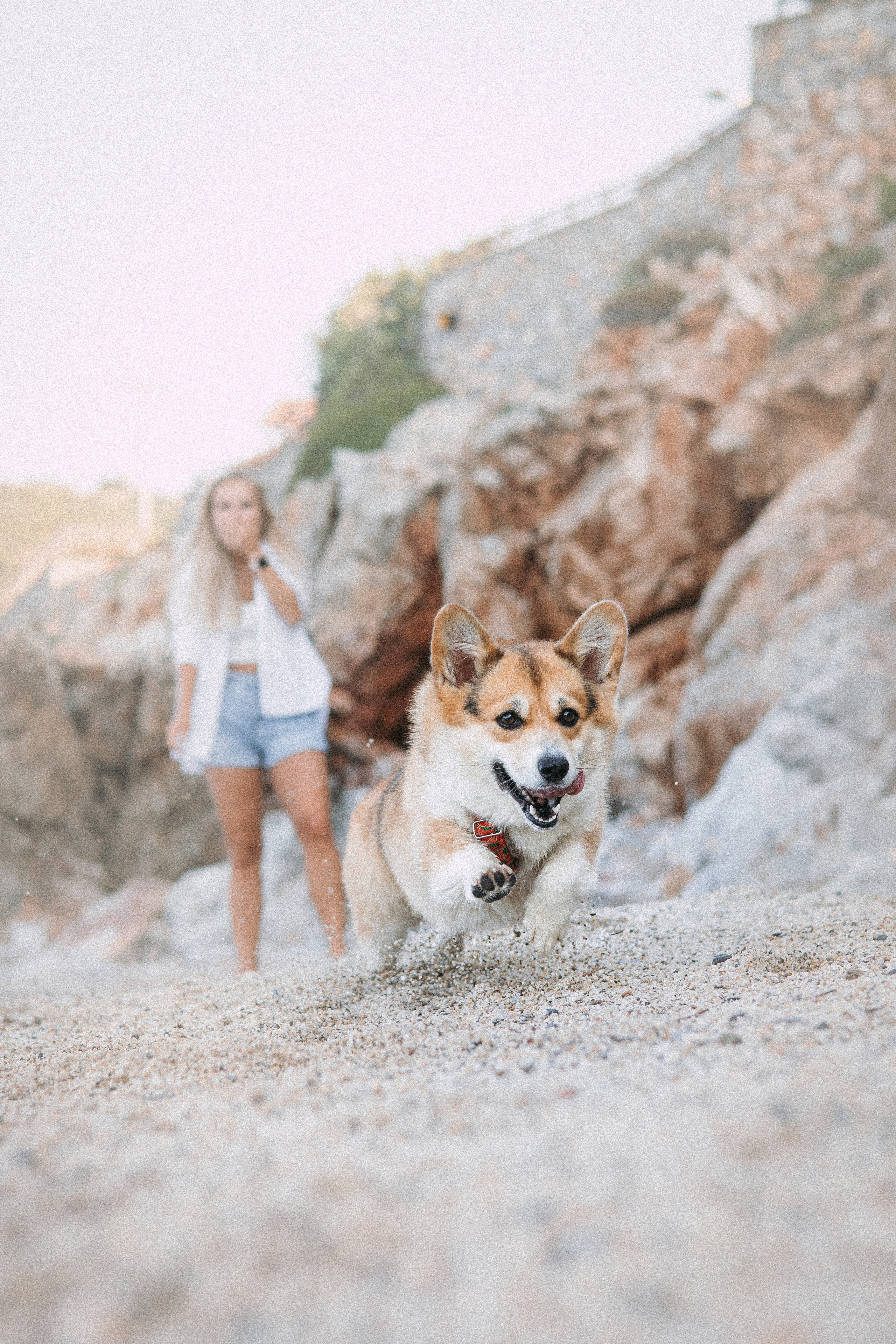 Катя и Рокси. Фотораф — анималист Мария Шистка