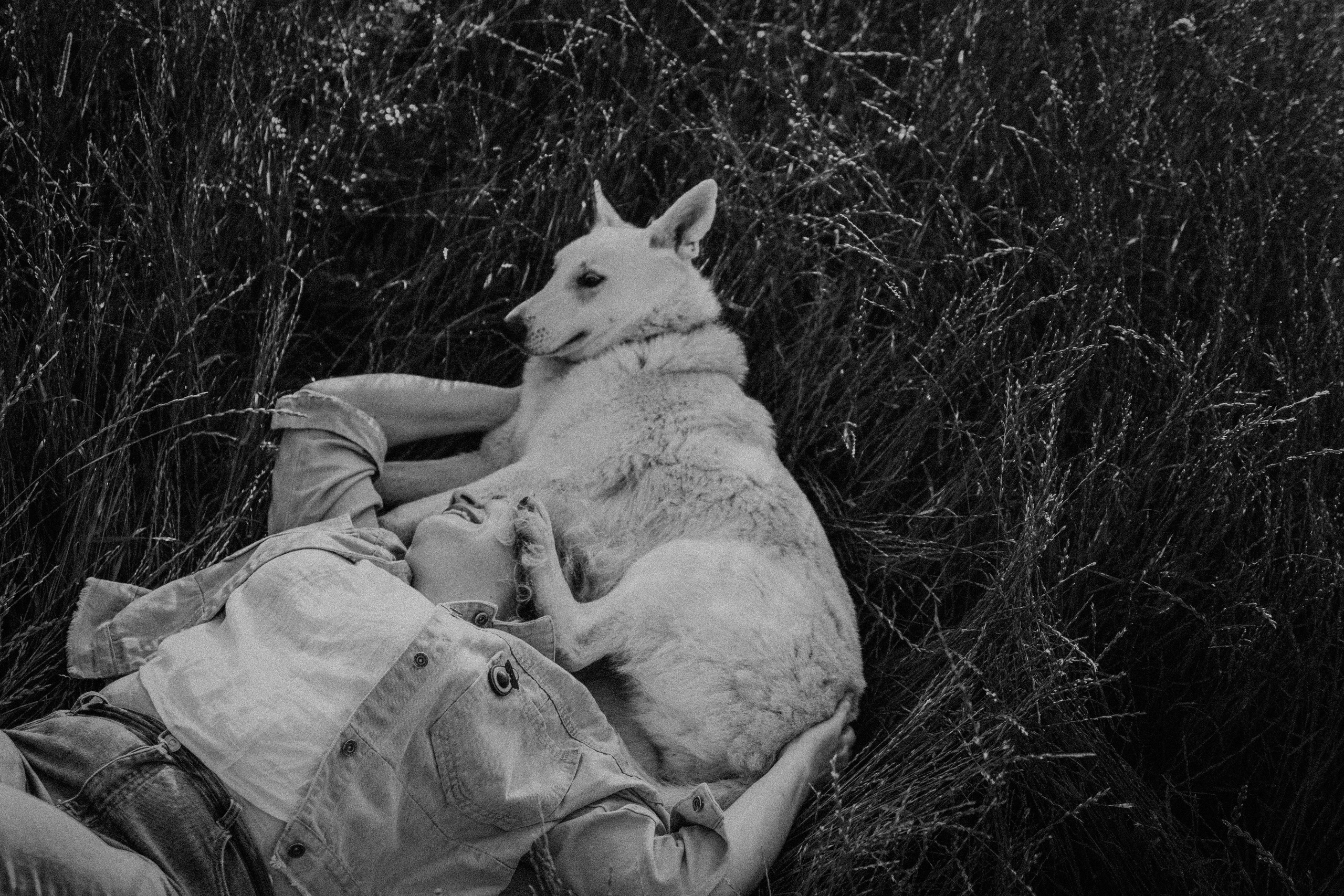 Любовь и Латте. Фотораф — анималист Мария Шистка