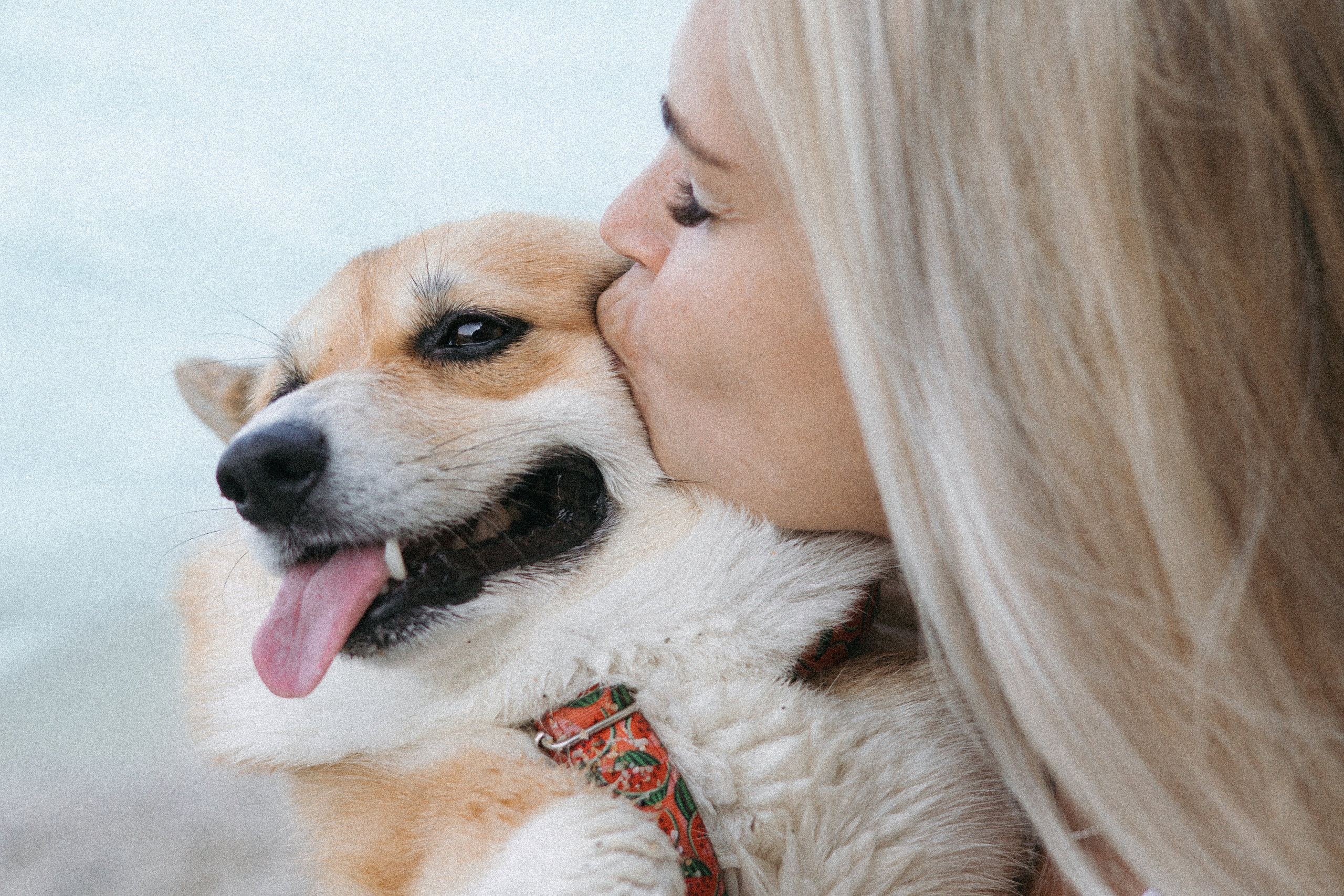 Катя и Рокси. Фотораф — анималист Мария Шистка
