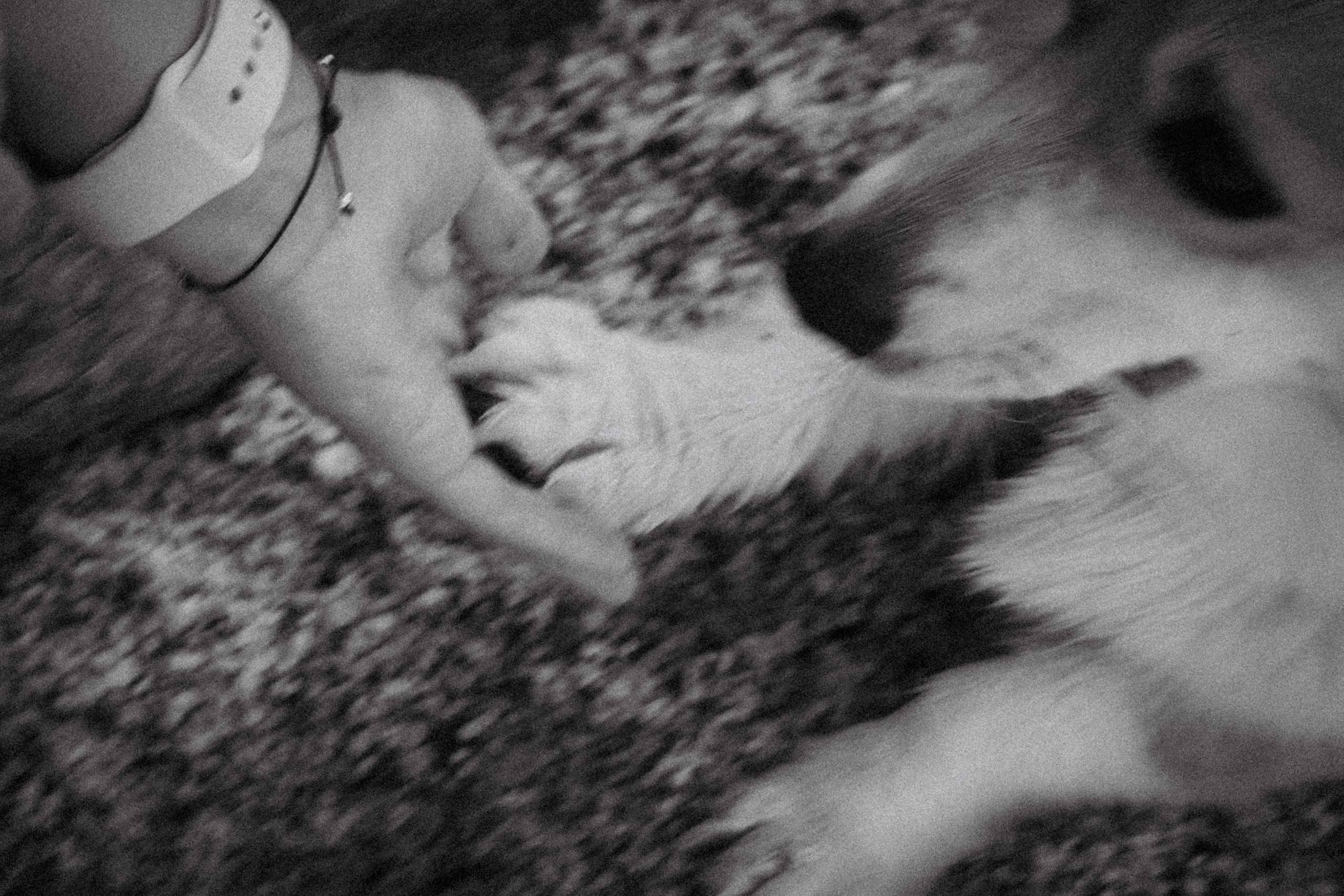 Катя и Рокси. Фотораф — анималист Мария Шистка