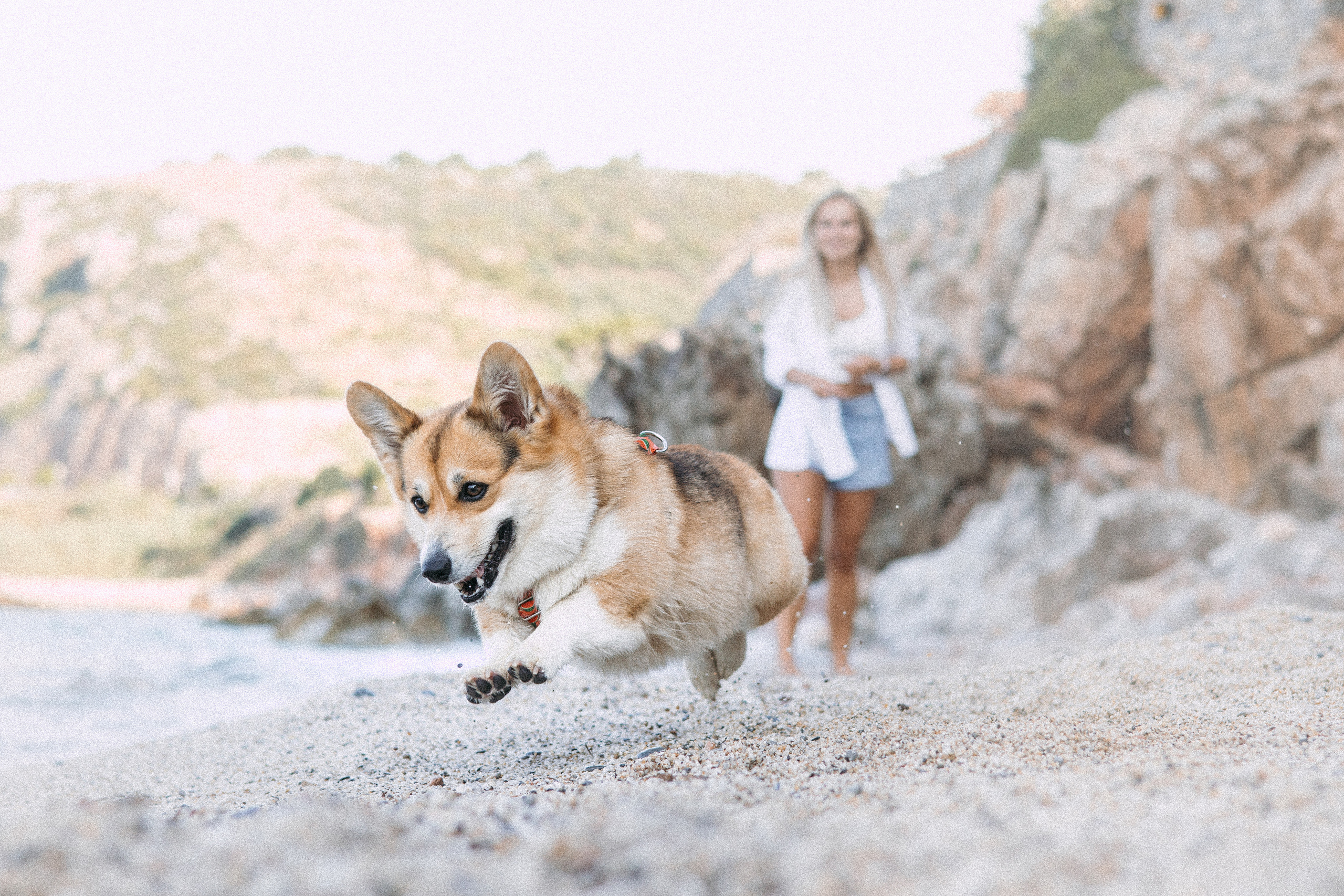 Катя и Рокси. Фотораф — анималист Мария Шистка