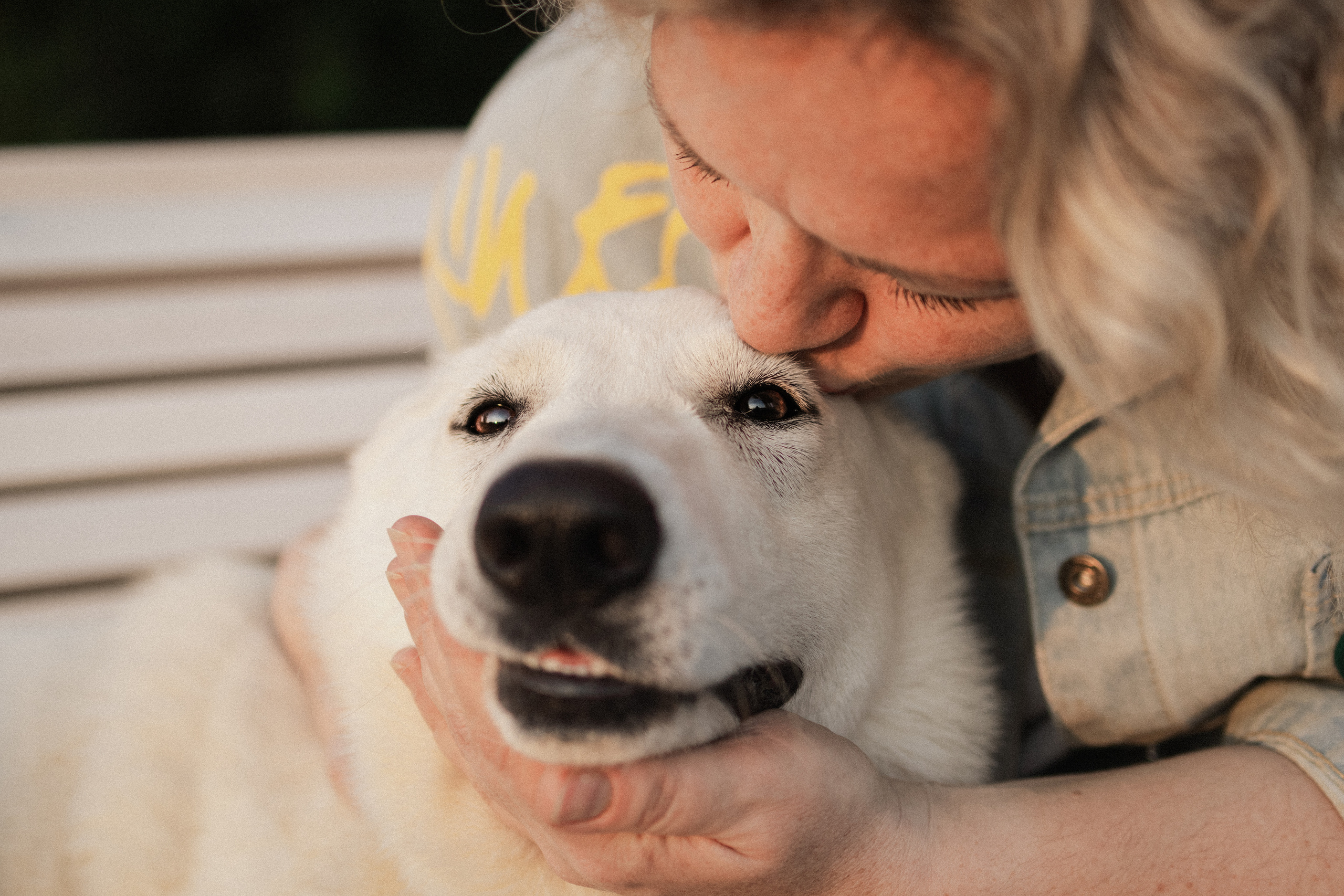 Любовь и Латте. Фотораф — анималист Мария Шистка