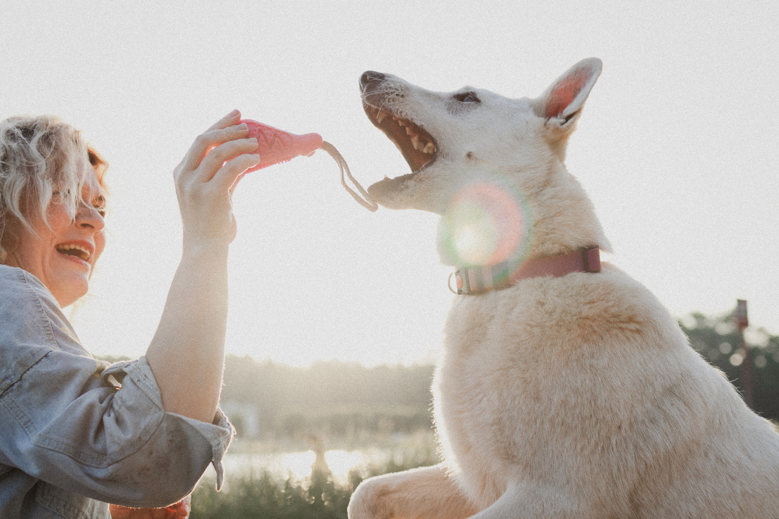 Любовь и Латте. Фотораф — анималист Мария Шистка