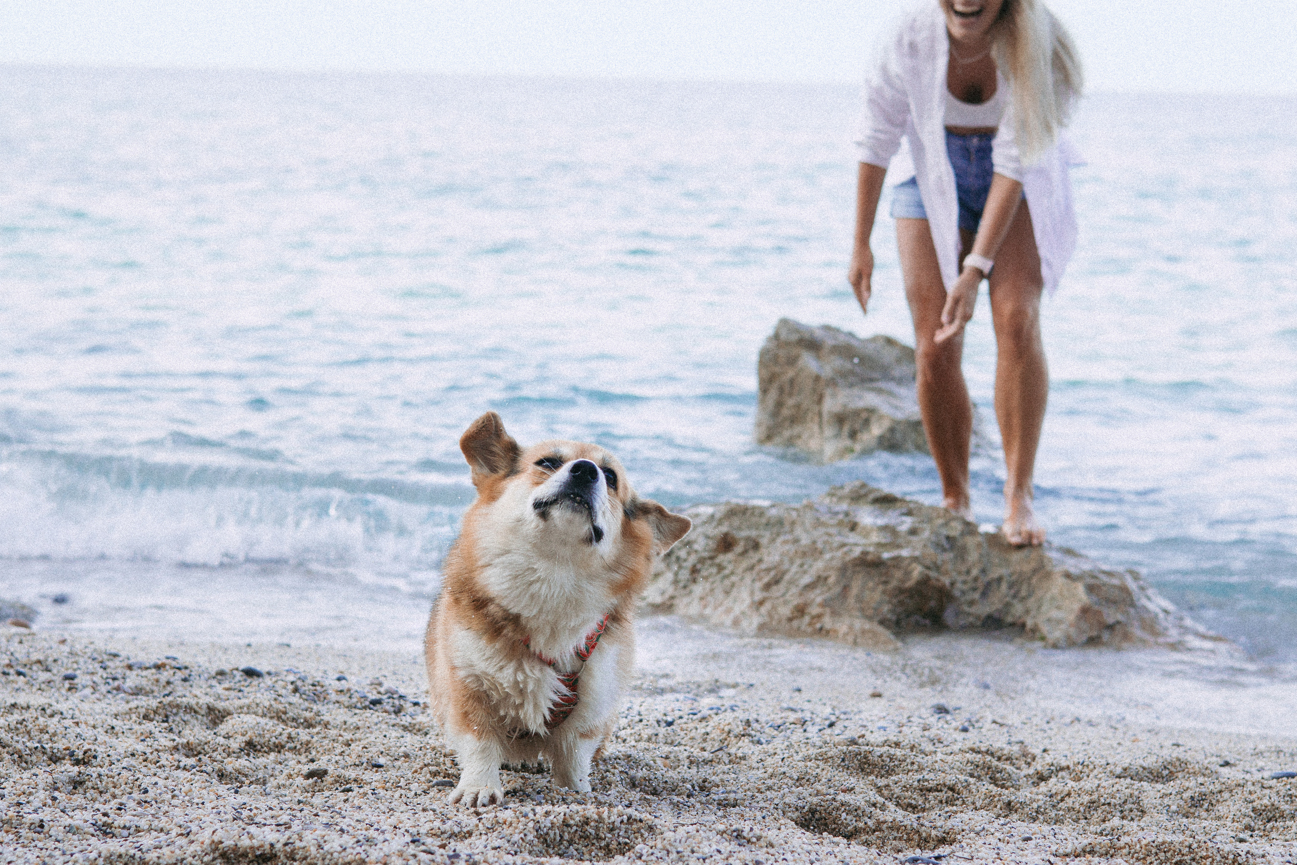 Катя и Рокси. Фотораф — анималист Мария Шистка