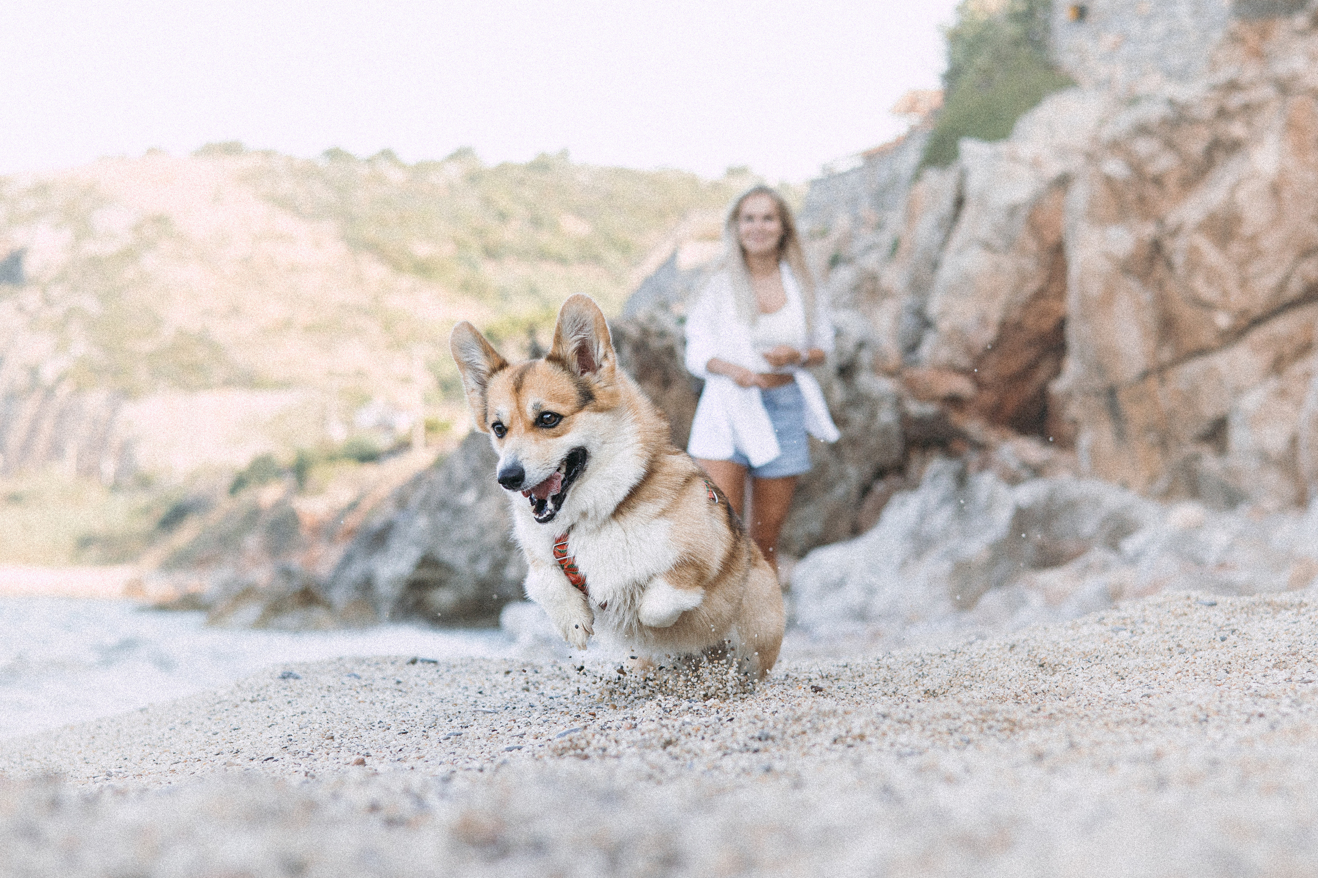 Катя и Рокси. Фотораф — анималист Мария Шистка