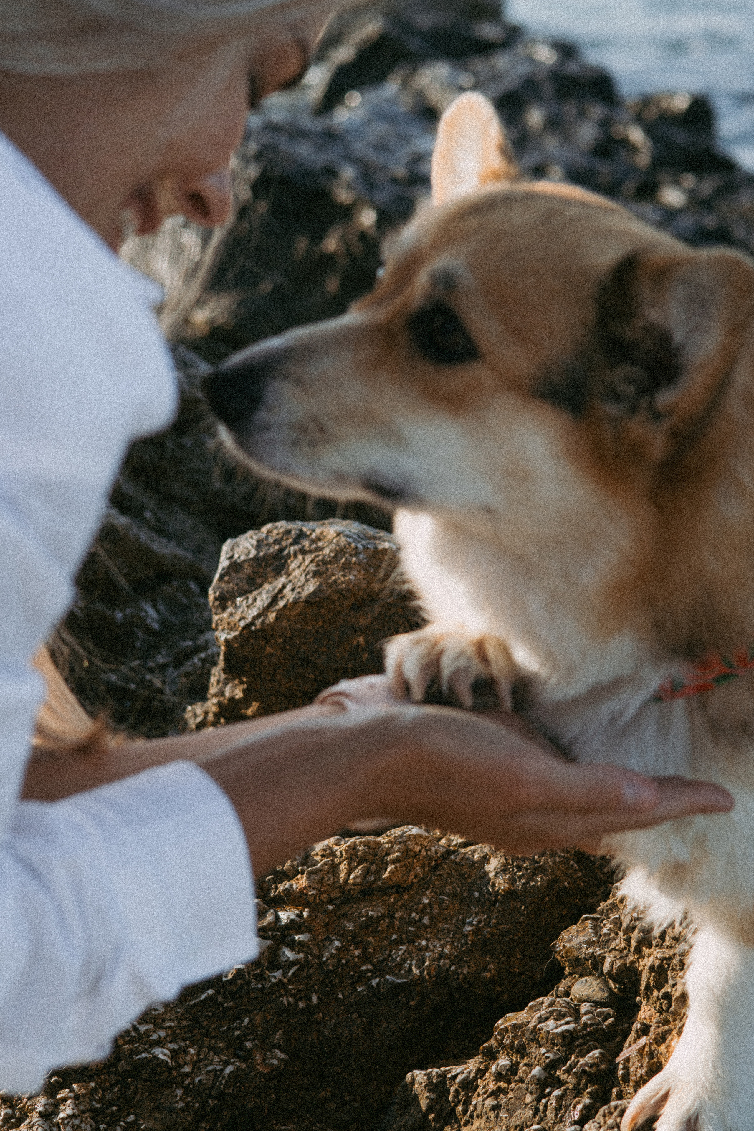 Катя и Рокси. Фотораф — анималист Мария Шистка