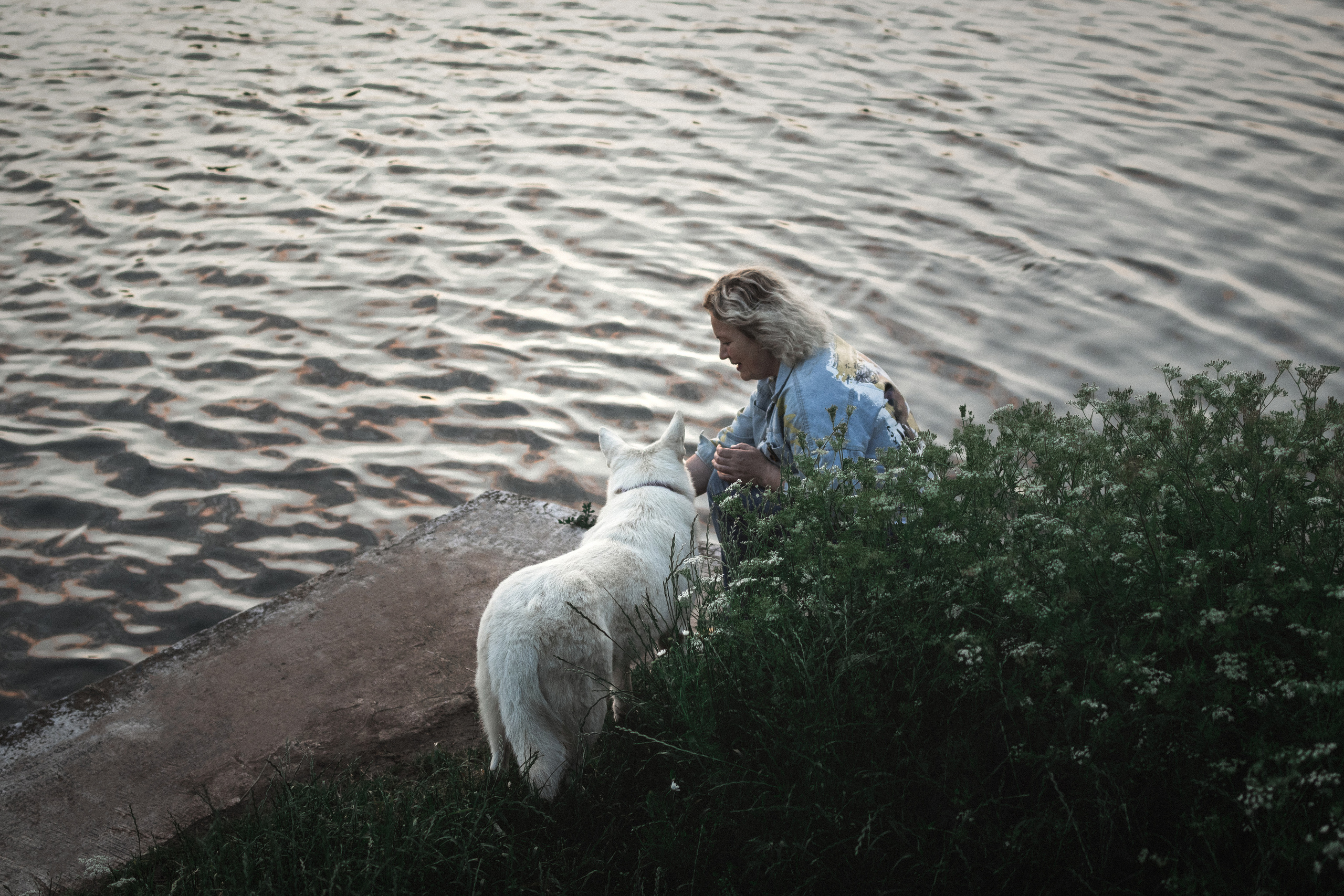 Любовь и Латте. Фотораф — анималист Мария Шистка