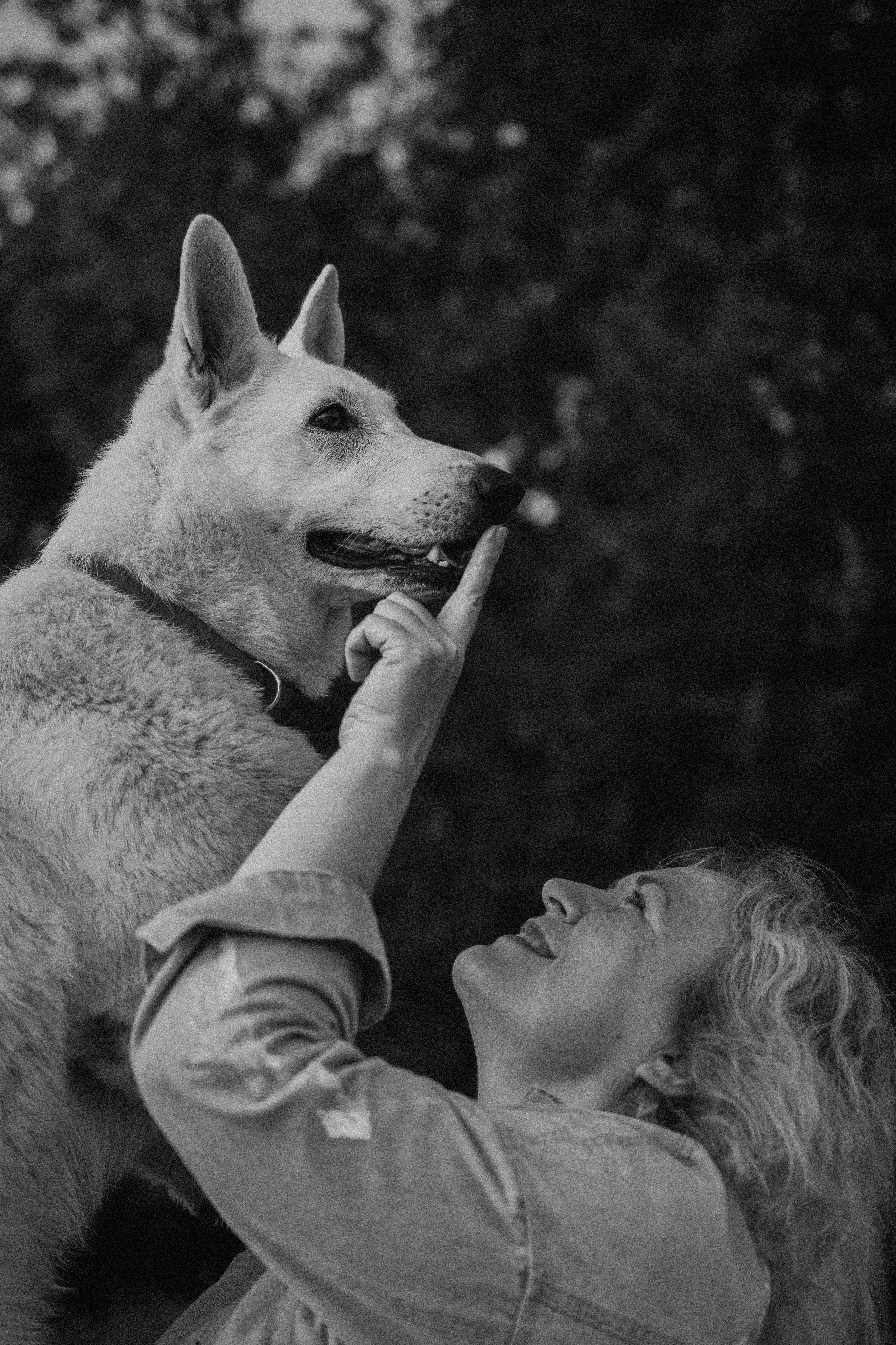 Любовь и Латте. Фотораф — анималист Мария Шистка