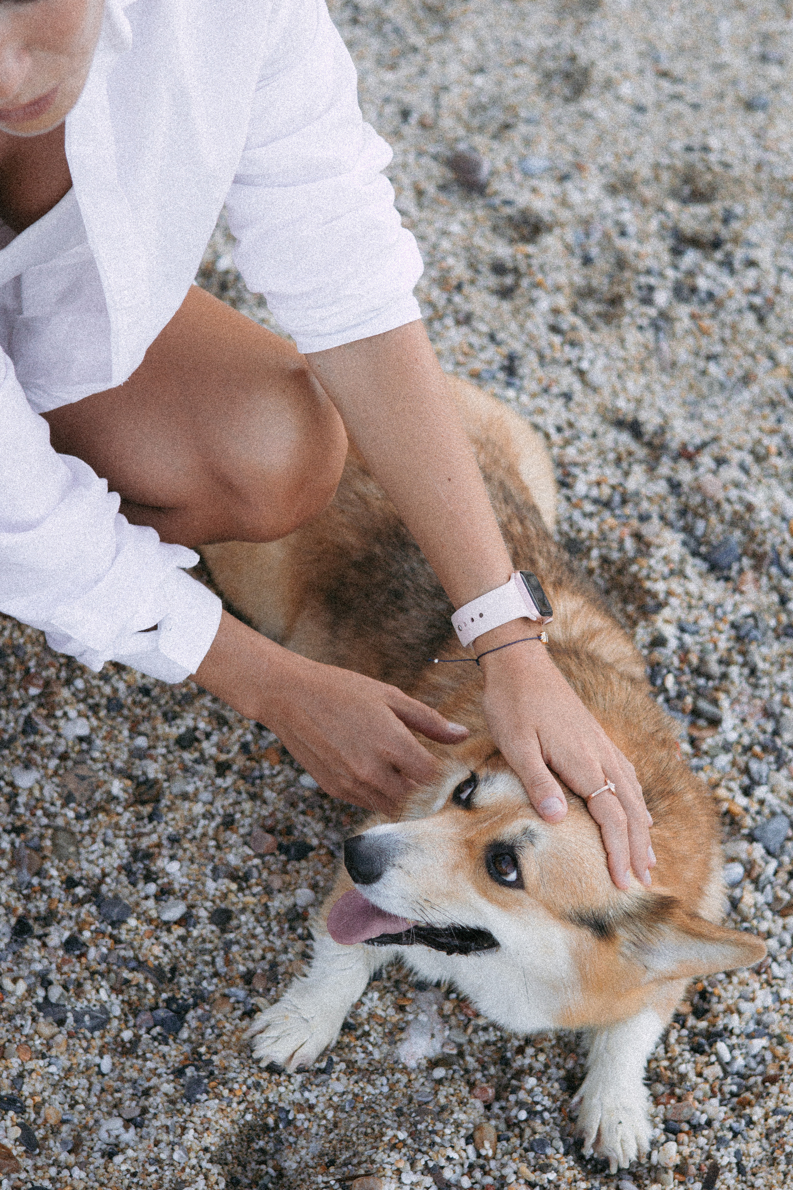 Катя и Рокси. Фотораф — анималист Мария Шистка