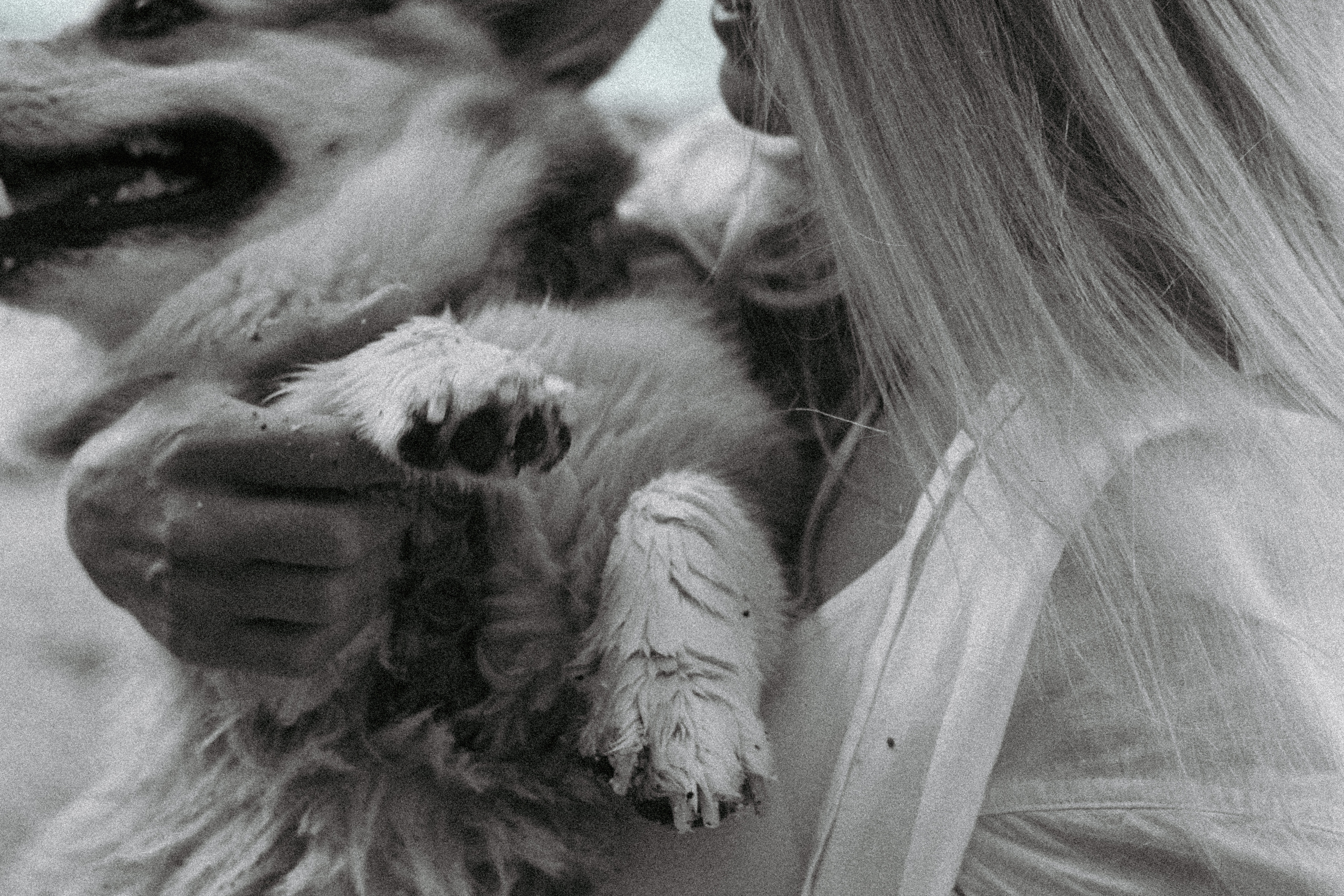 Катя и Рокси. Фотораф — анималист Мария Шистка