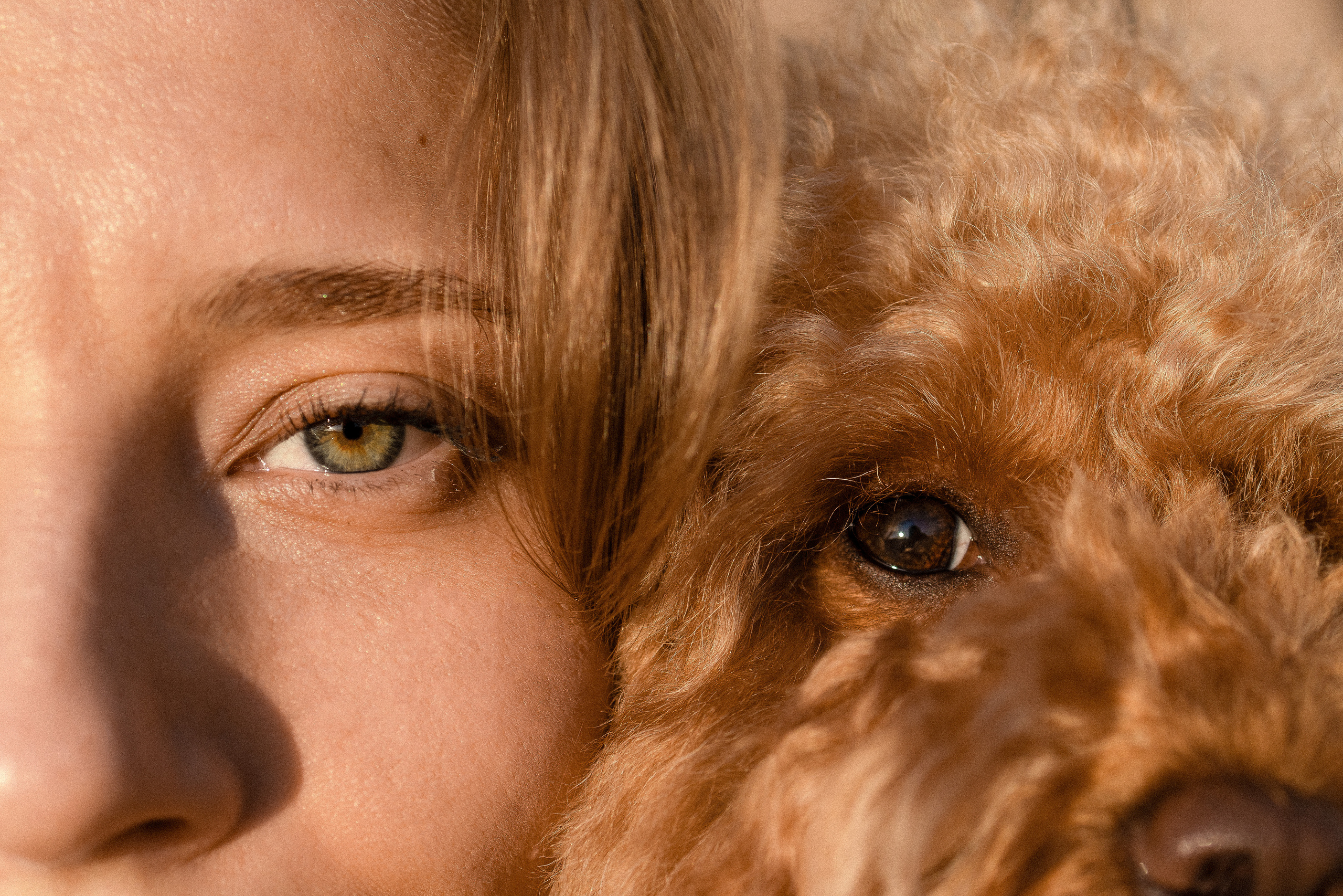 Лилия и Оди. Фотораф — анималист Мария Шистка