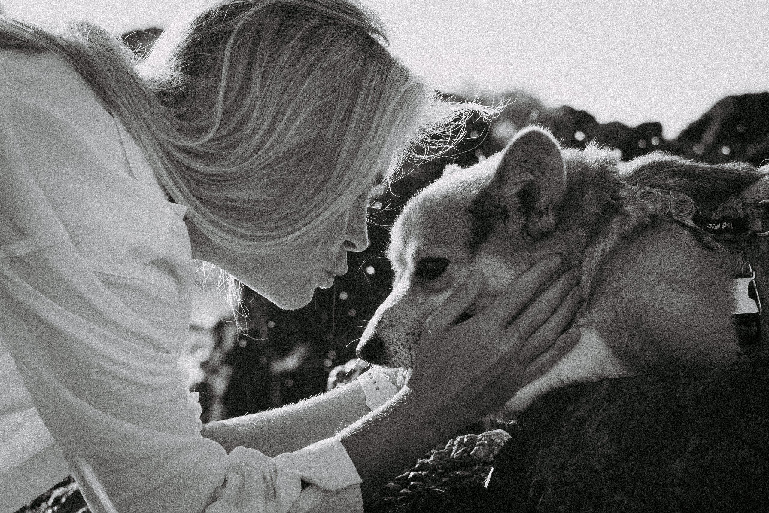 Катя и Рокси. Фотораф — анималист Мария Шистка