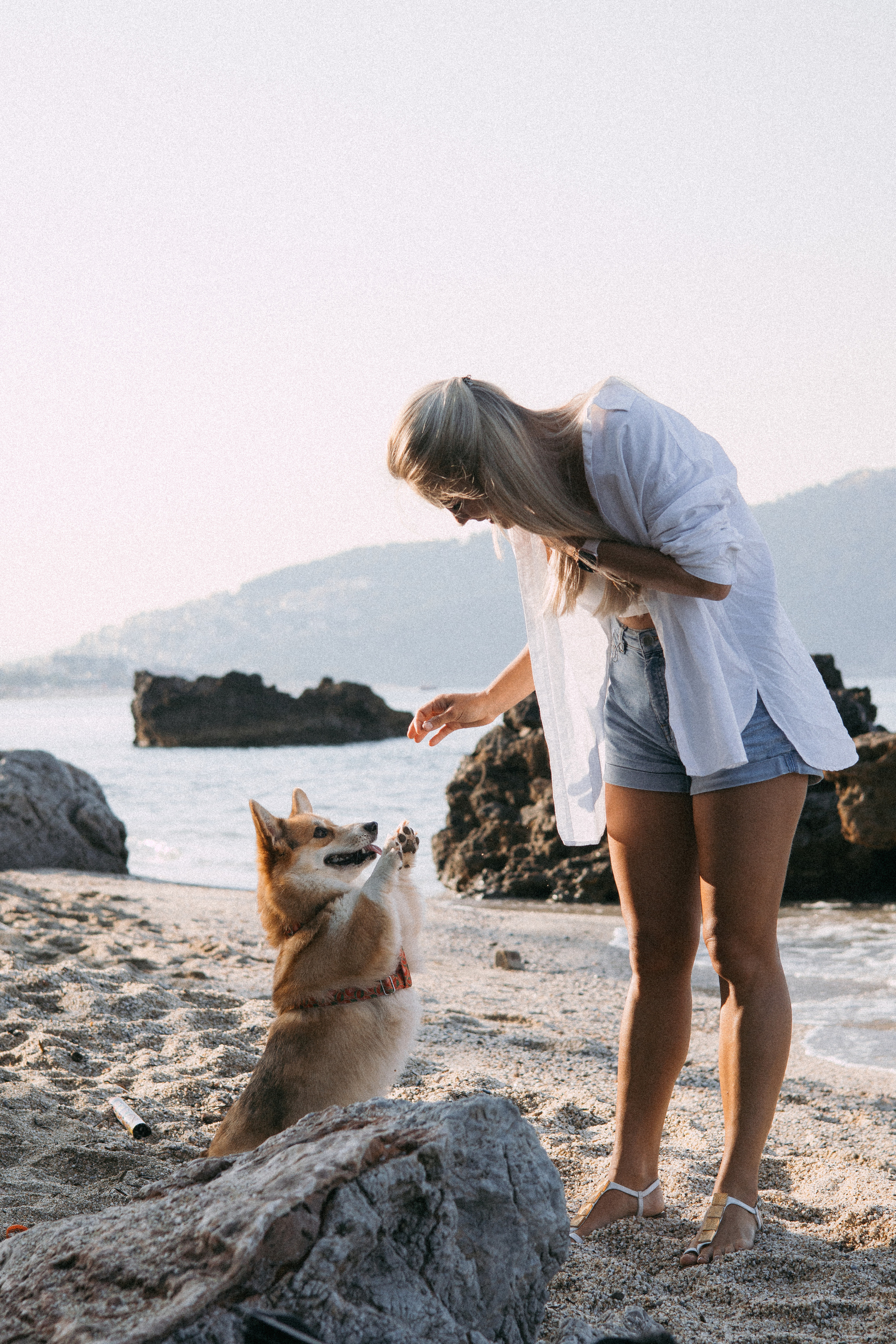 Катя и Рокси. Фотораф — анималист Мария Шистка