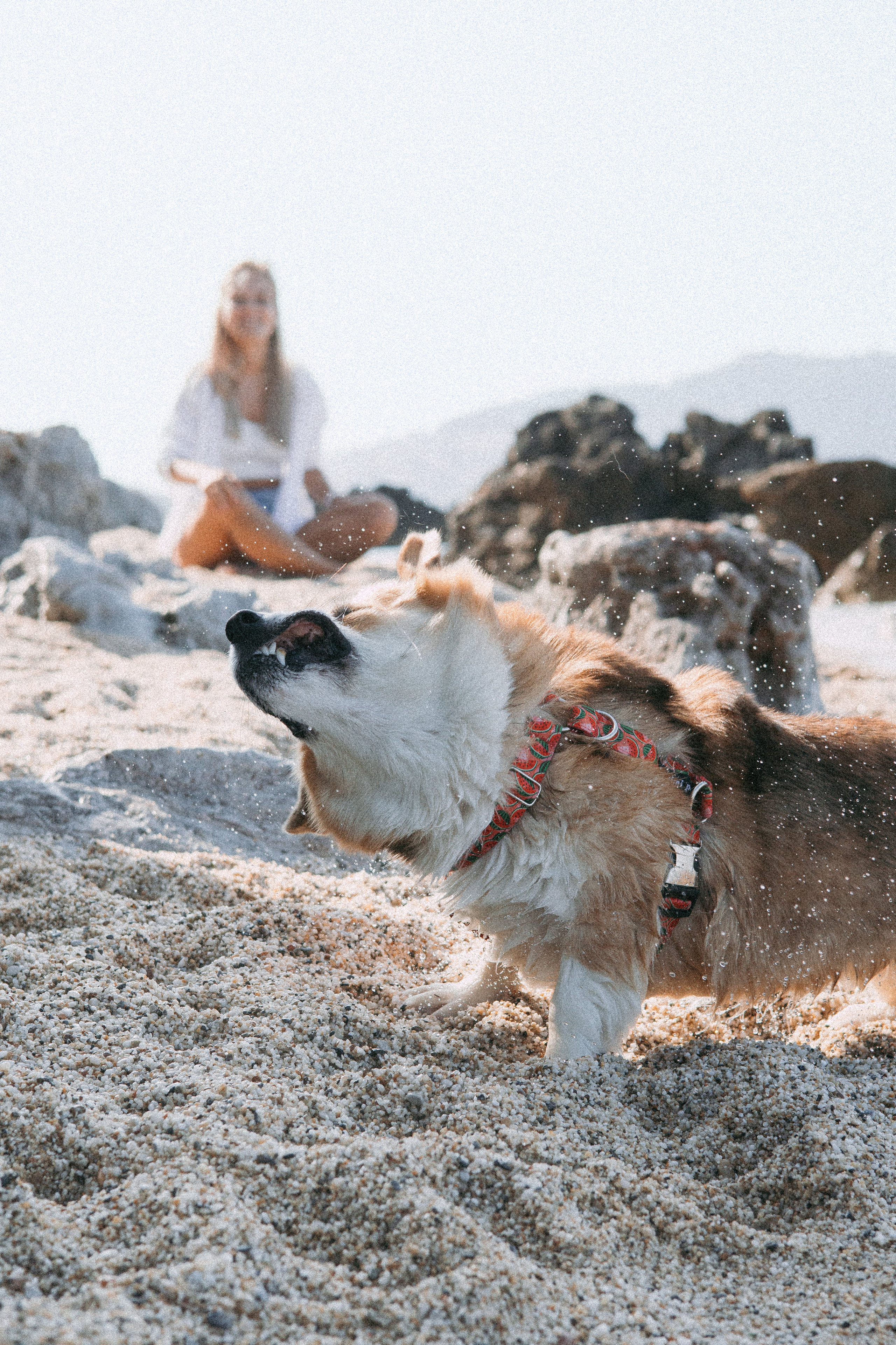 Катя и Рокси. Фотораф — анималист Мария Шистка