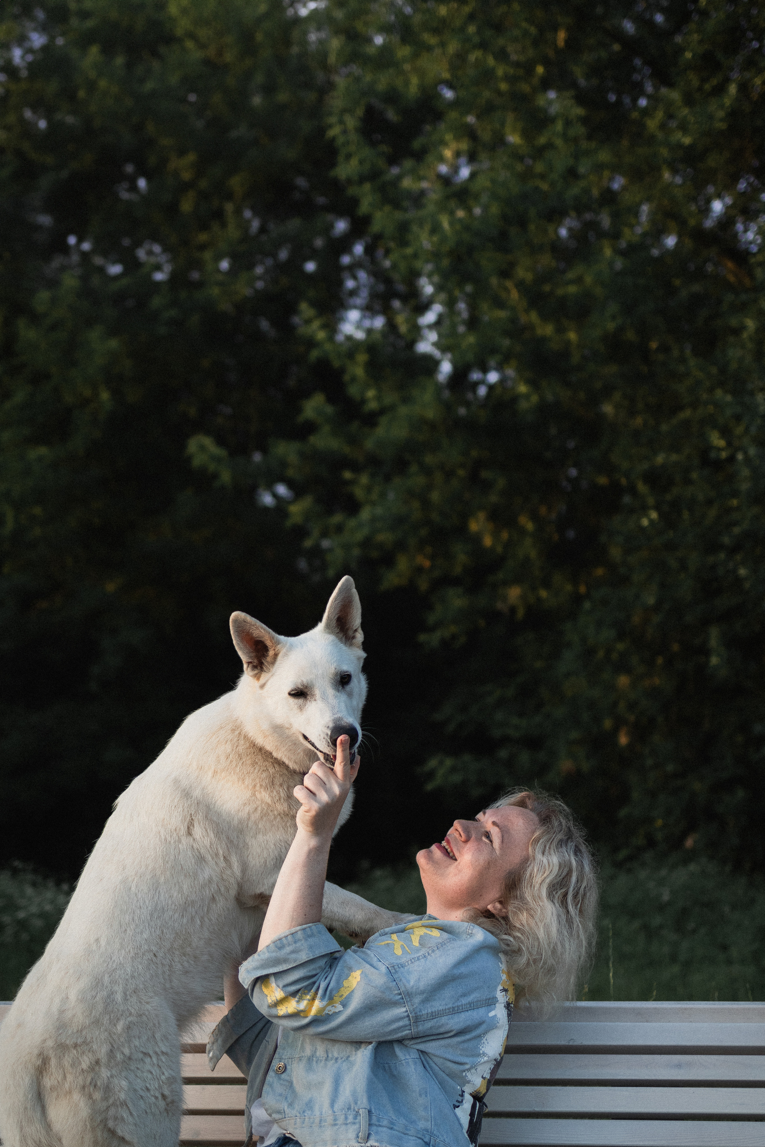 Любовь и Латте. Фотораф — анималист Мария Шистка