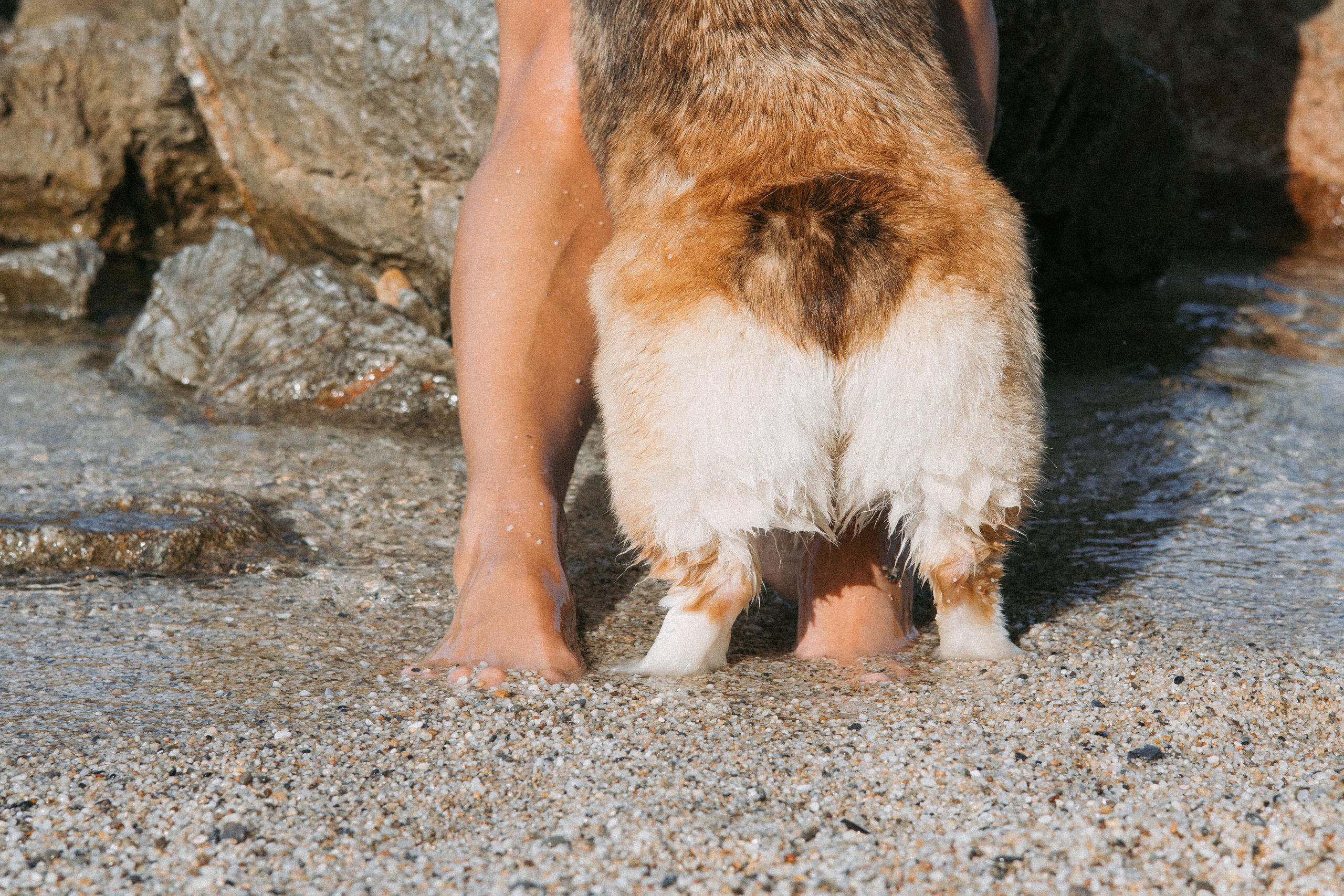 Катя и Рокси. Фотораф — анималист Мария Шистка
