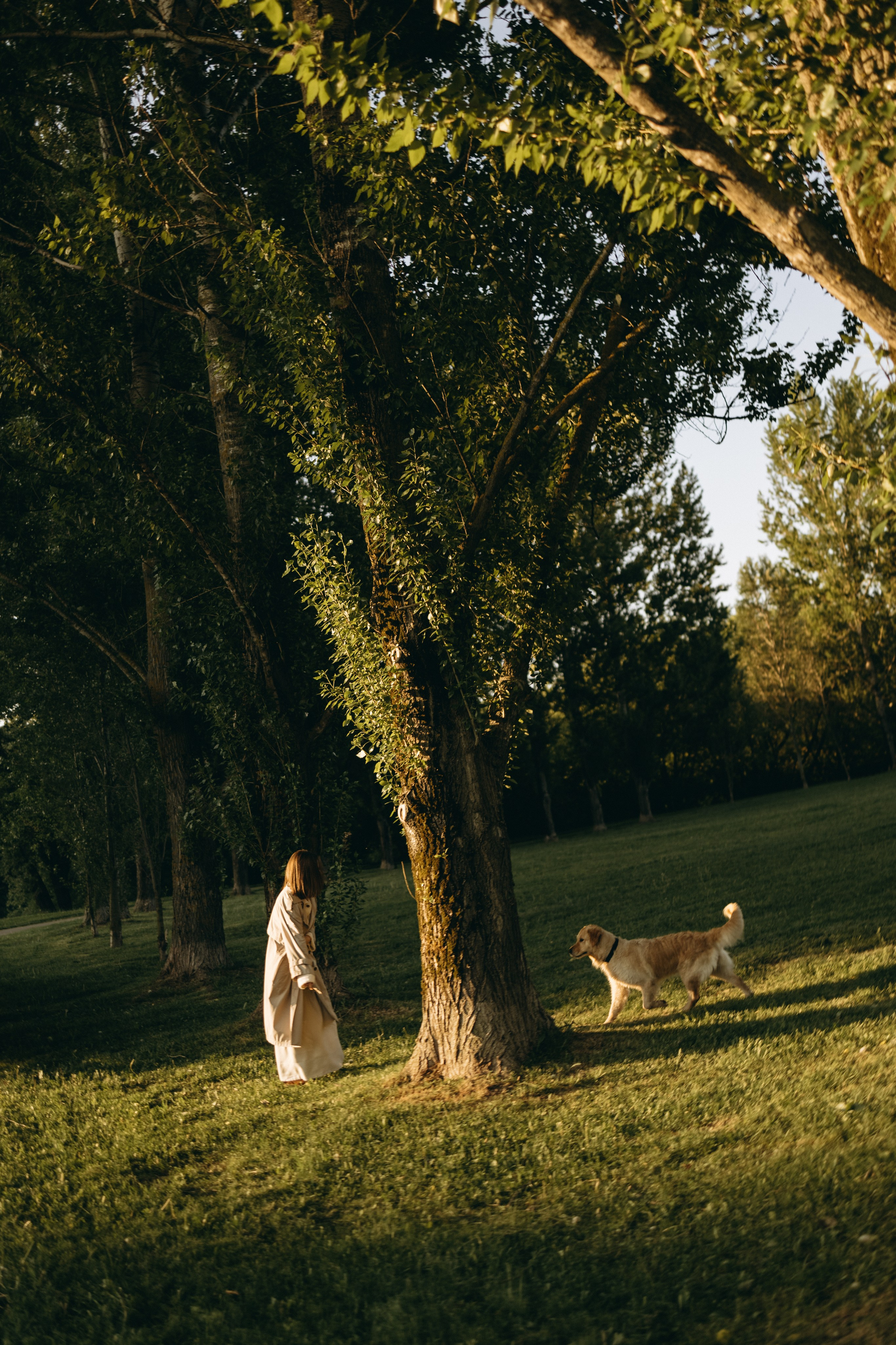 Пенни и ребята. Фотограф — Анималист | Санкт-Петербург