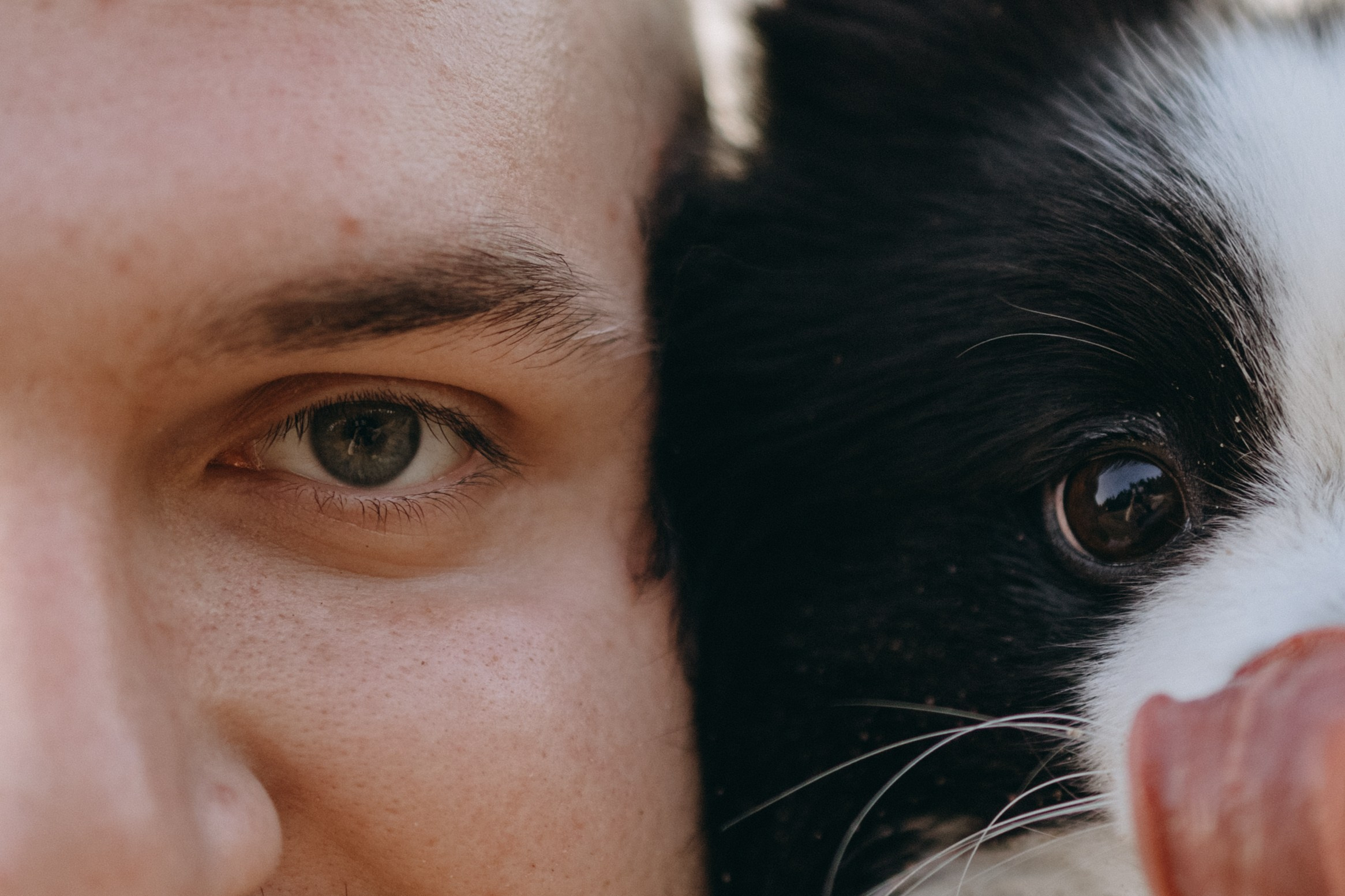 Диана и ее мальчики. Фотограф — Анималист | Санкт-Петербург