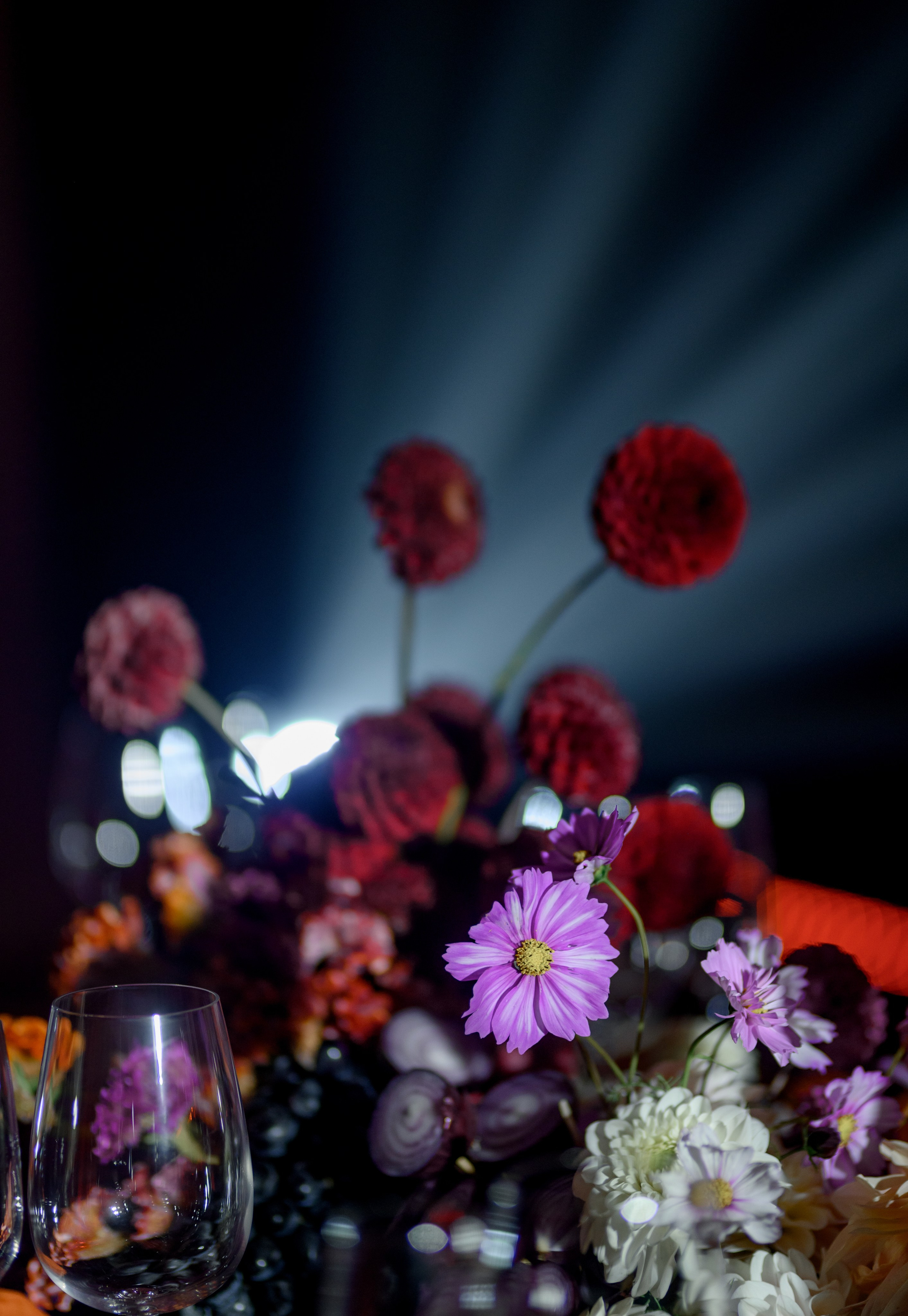 Никита и Валерия. Фотограф Анна Абрикосова