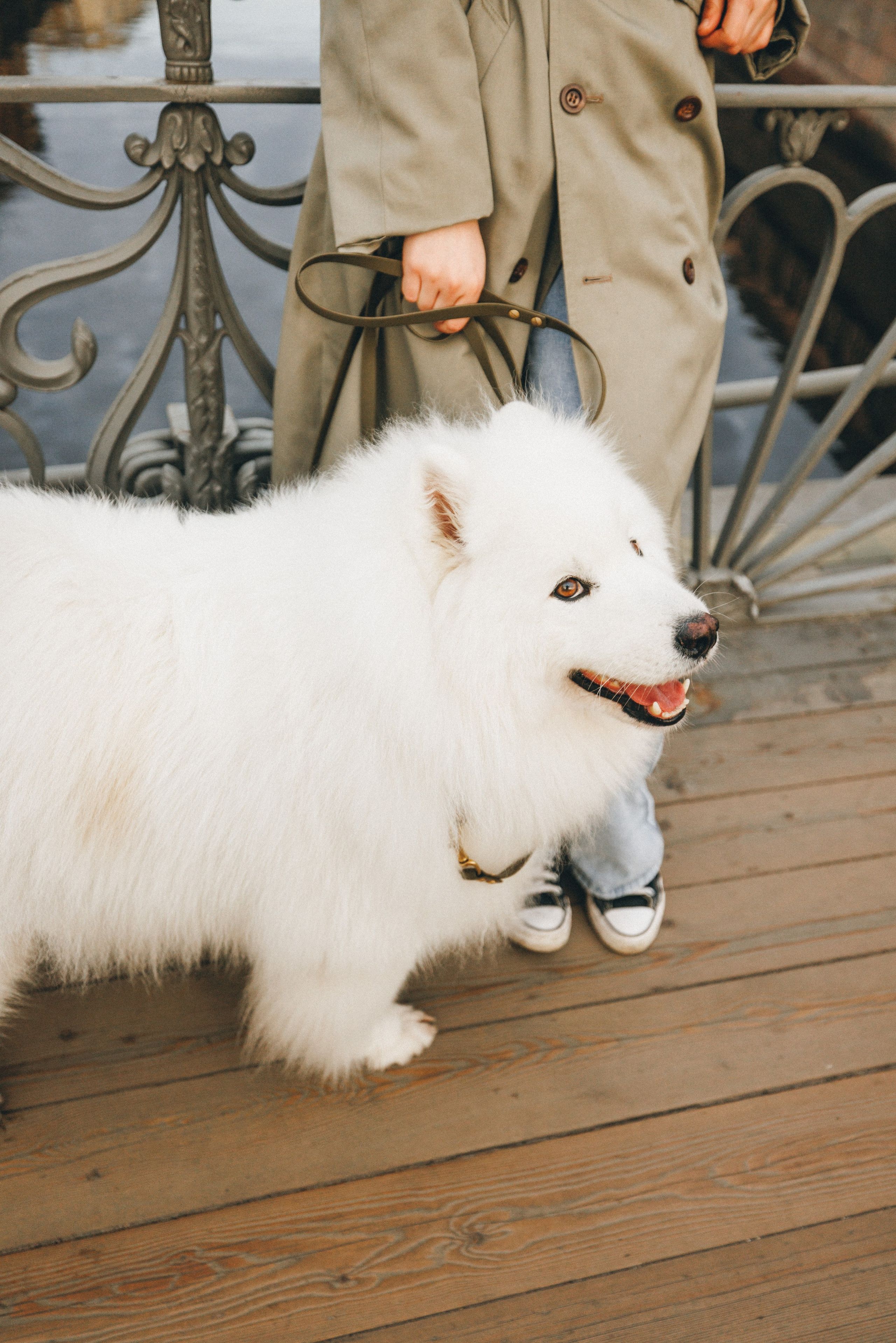 Женя и Цезарь. Фотограф анималист Осипчикова Мария