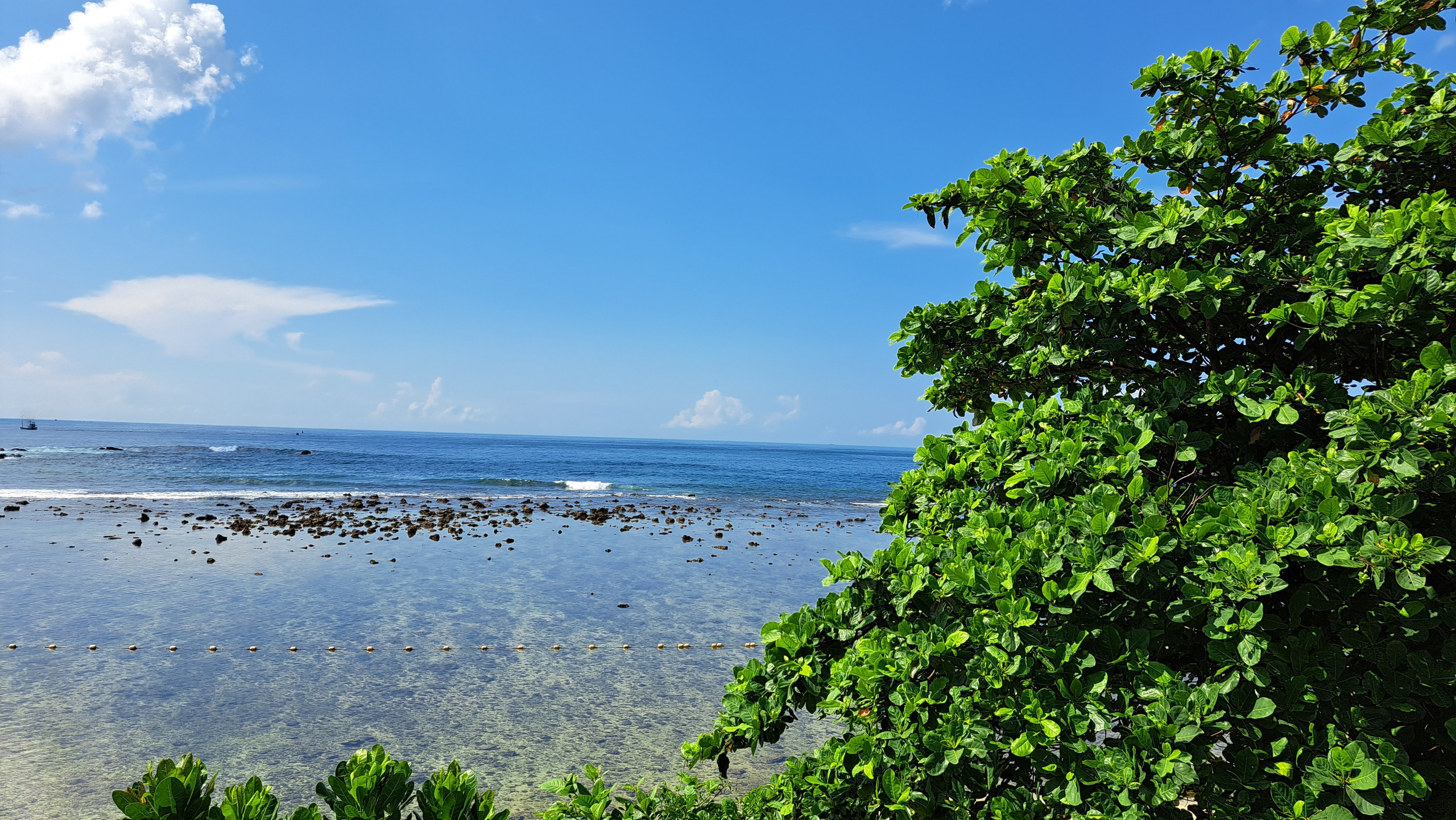 Видео | Анимация. Фотограф Александр Ямпольский