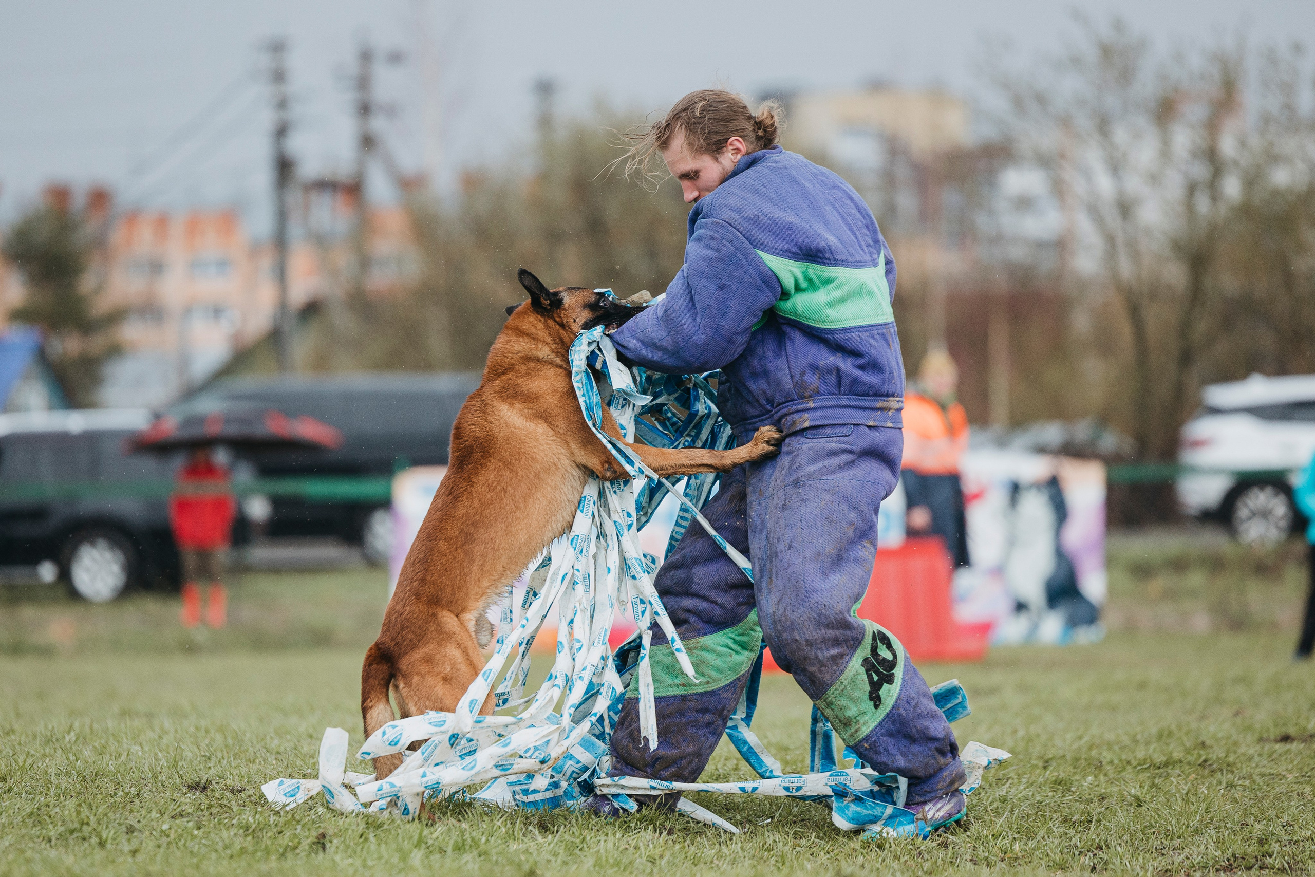 09.05.25 Вологда соревнования. Фотограф-анималист Анна Маринич