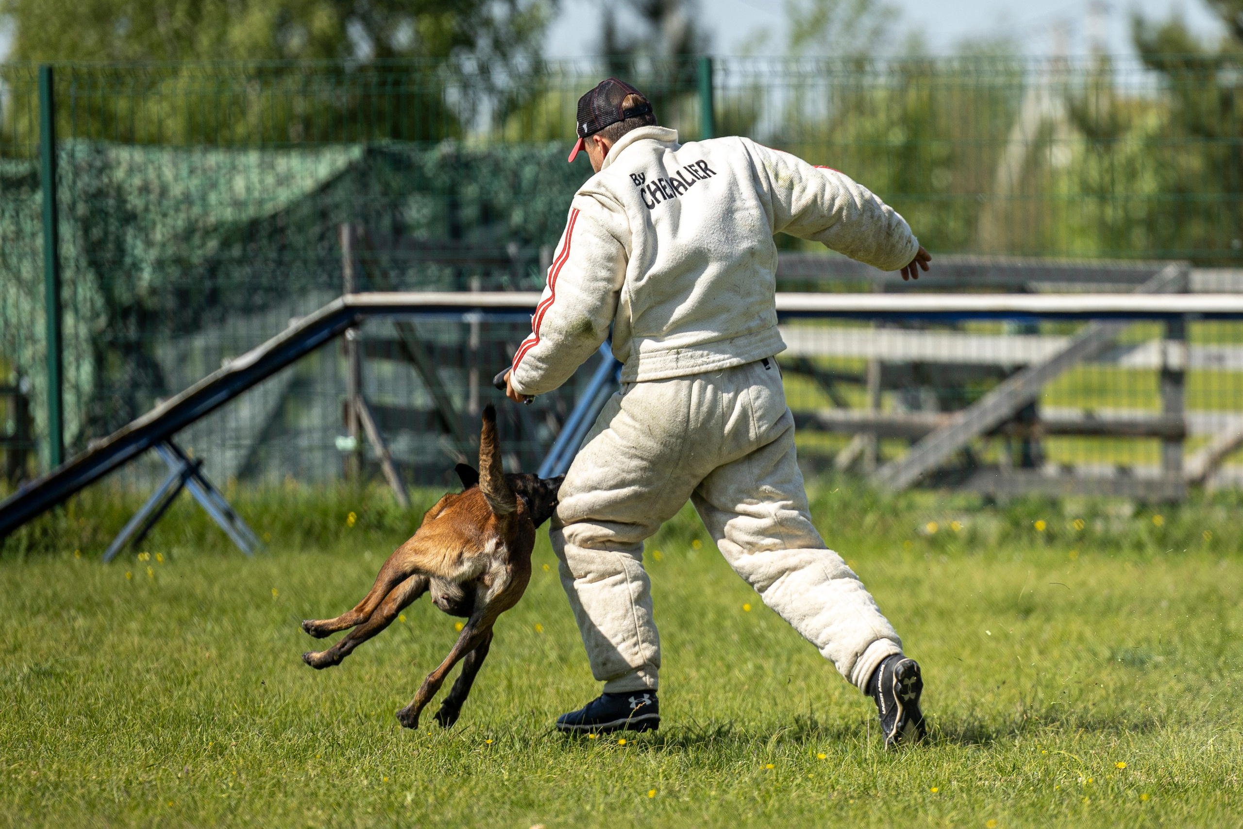 Испытания по мондьорингу в Нижнем Новгороде. Фотограф-анималист Анна Маринич