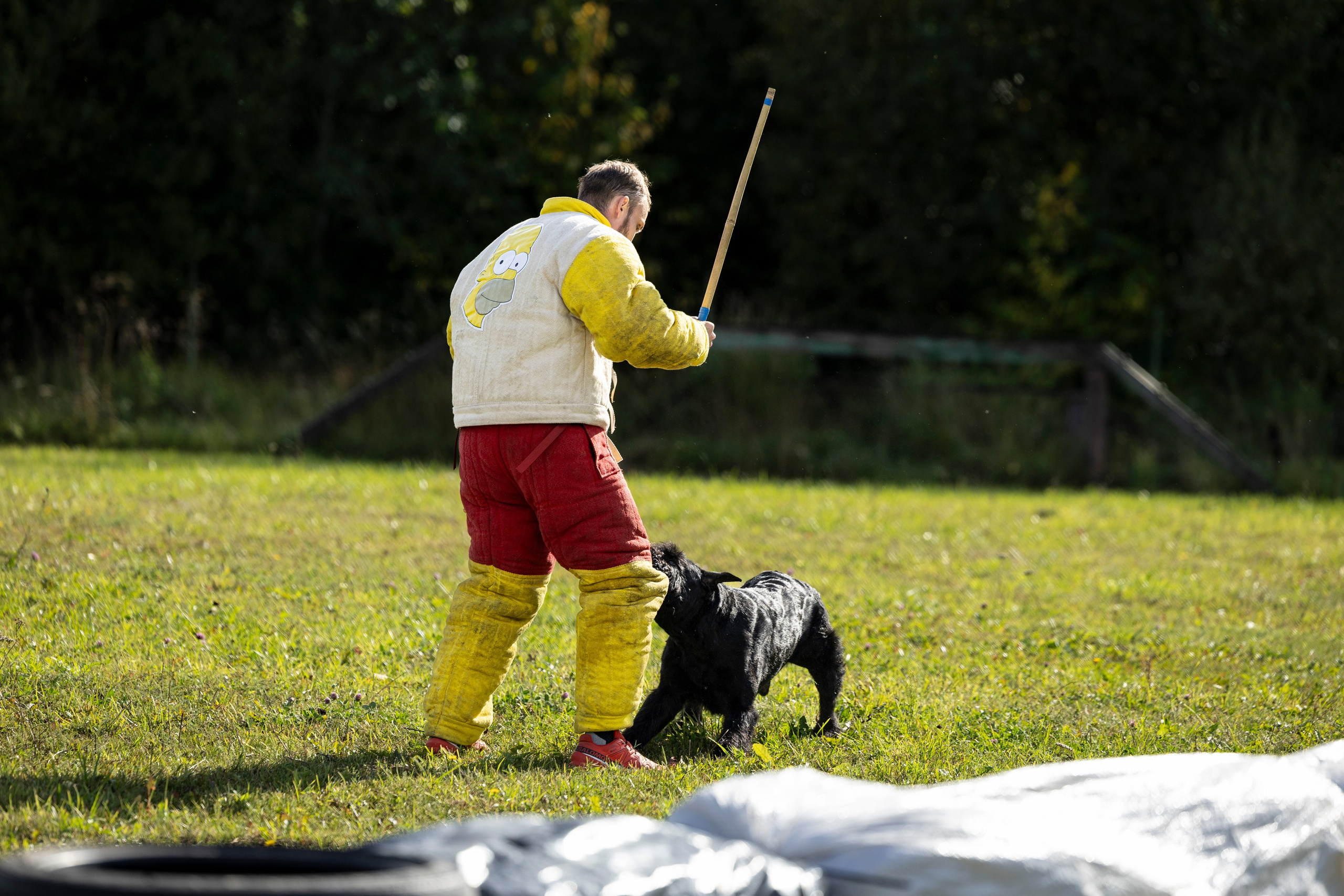Испытания по Мондьорингу г. Пушкин. Фотограф-анималист Анна Маринич