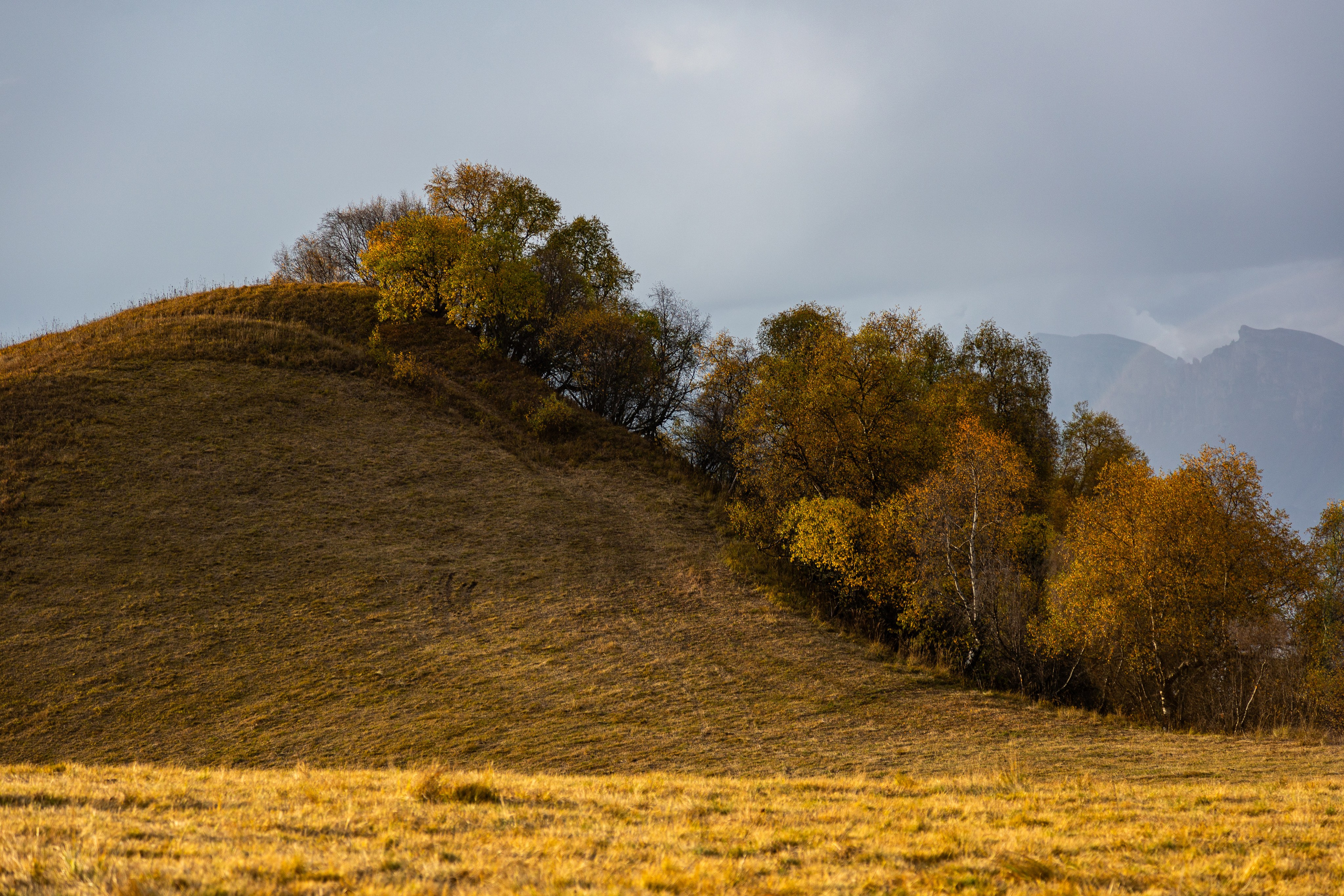 Россия. Северный Кавказ. Добродеева Алла фотограф, Москва