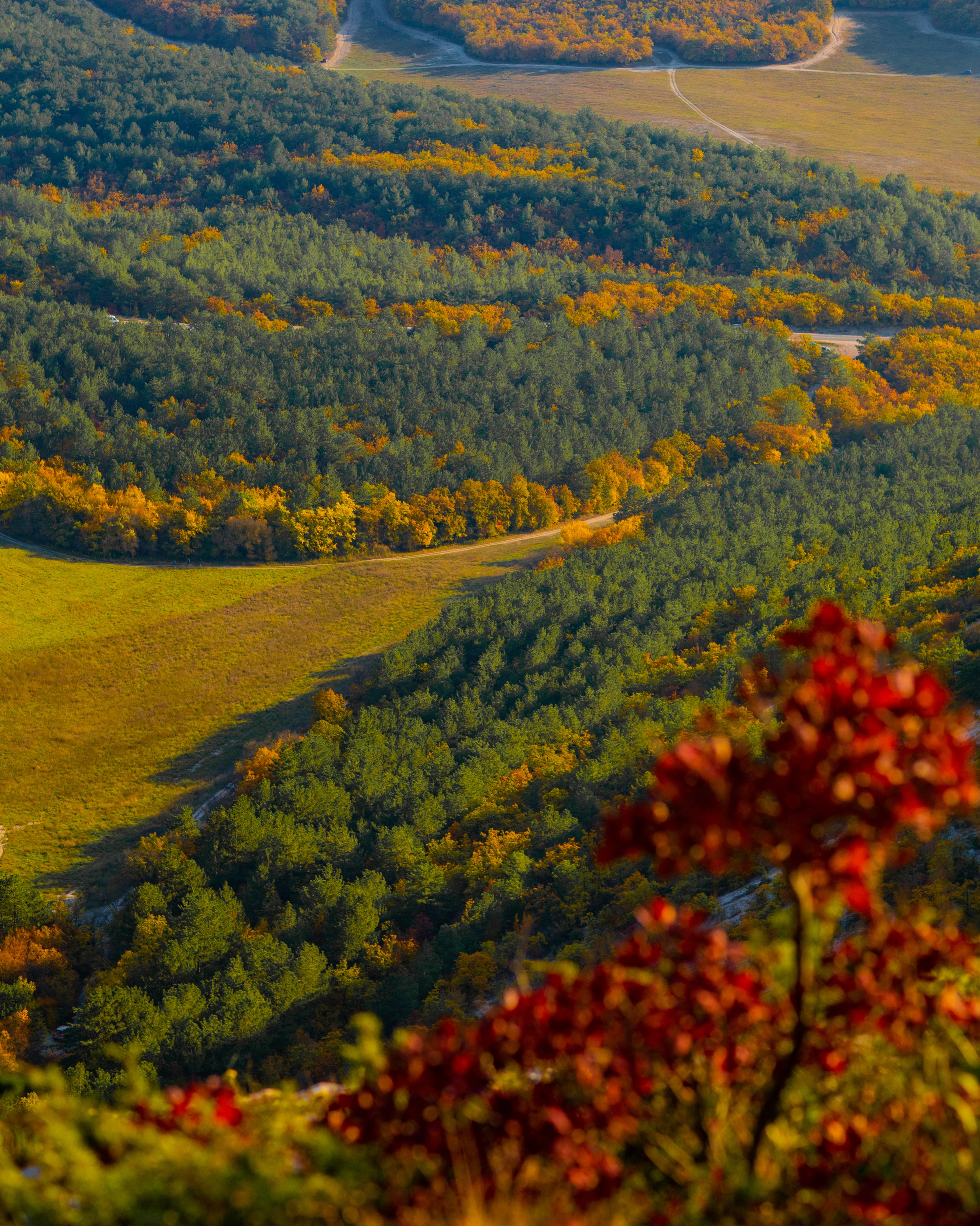 ШУЛДАН. Фотограф Севастополь/Крым Светлана Евтушенко