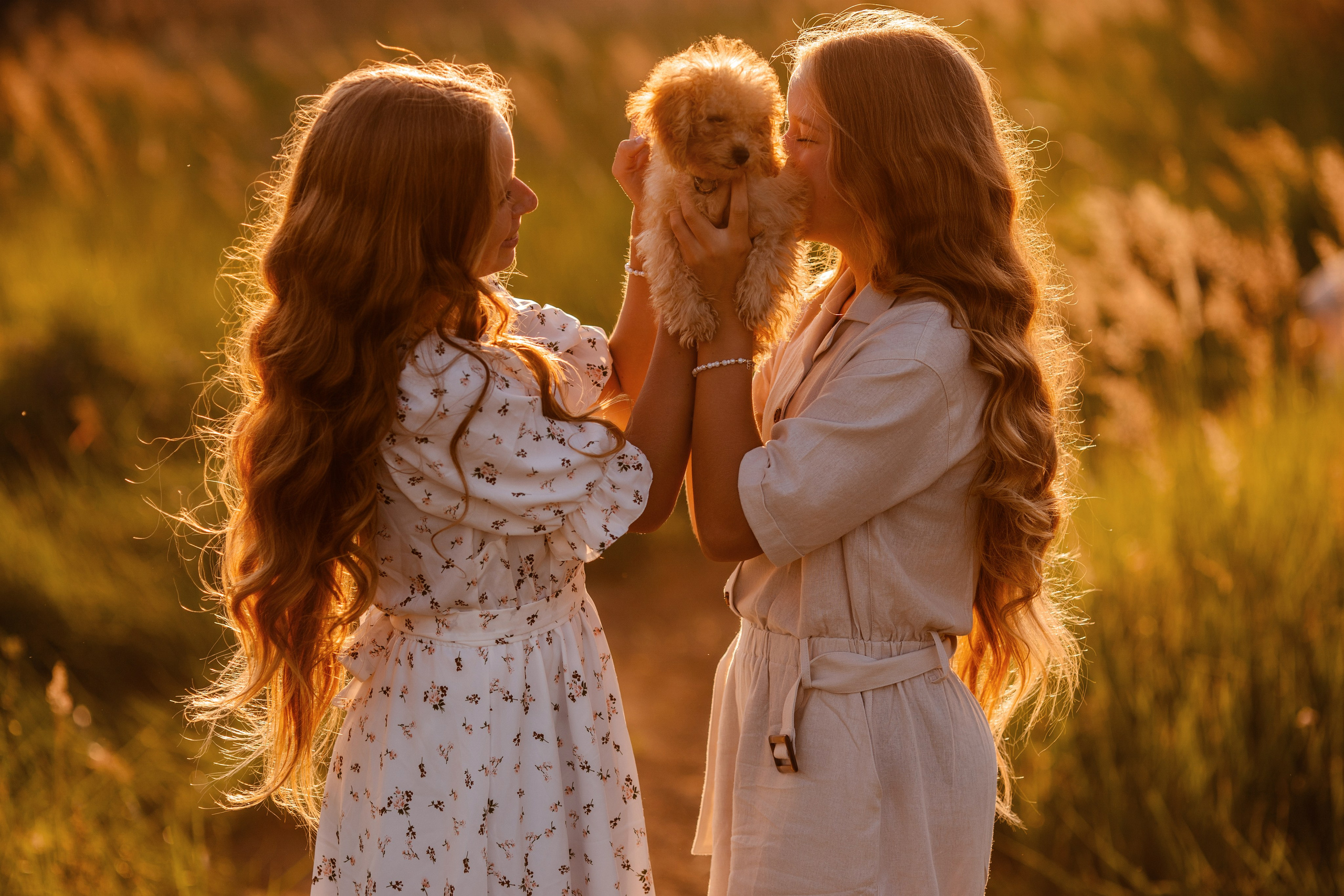 Фотосессия большой семьи в поле